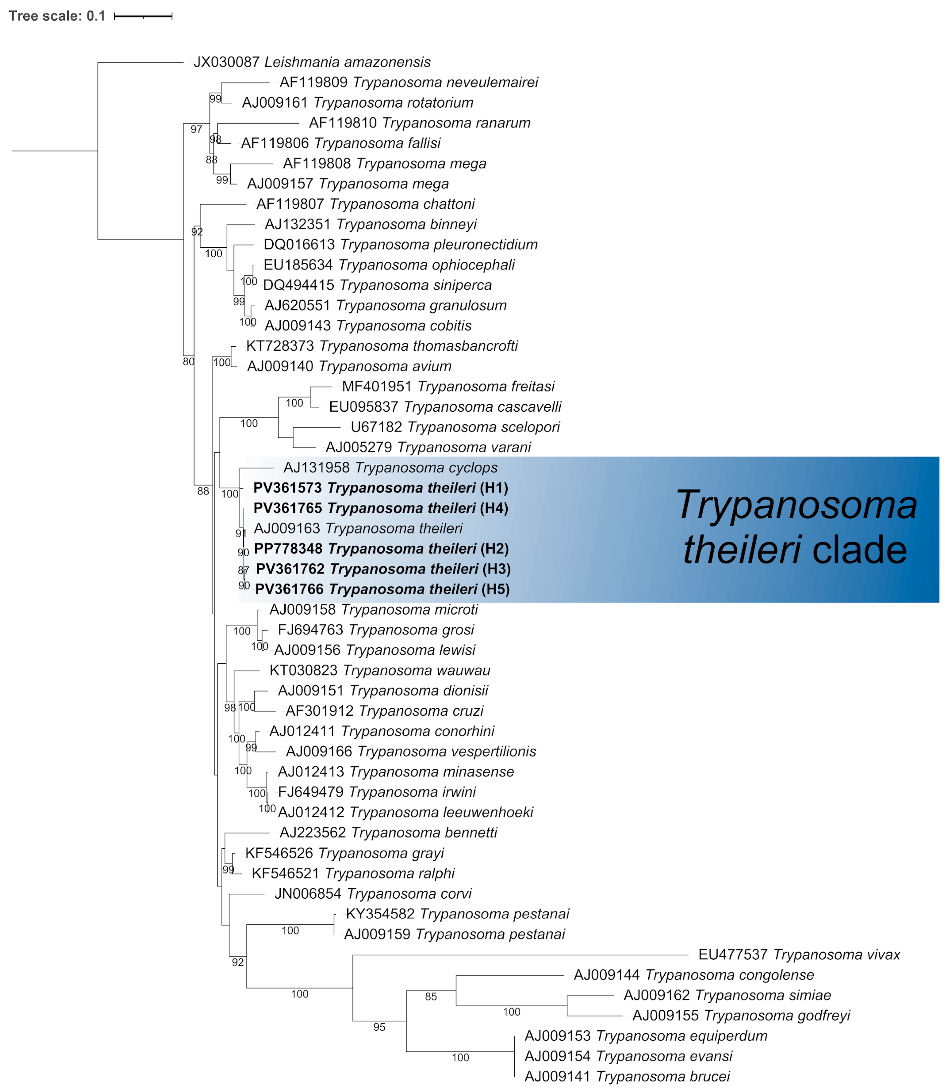 Pathogens 14 00382 g002