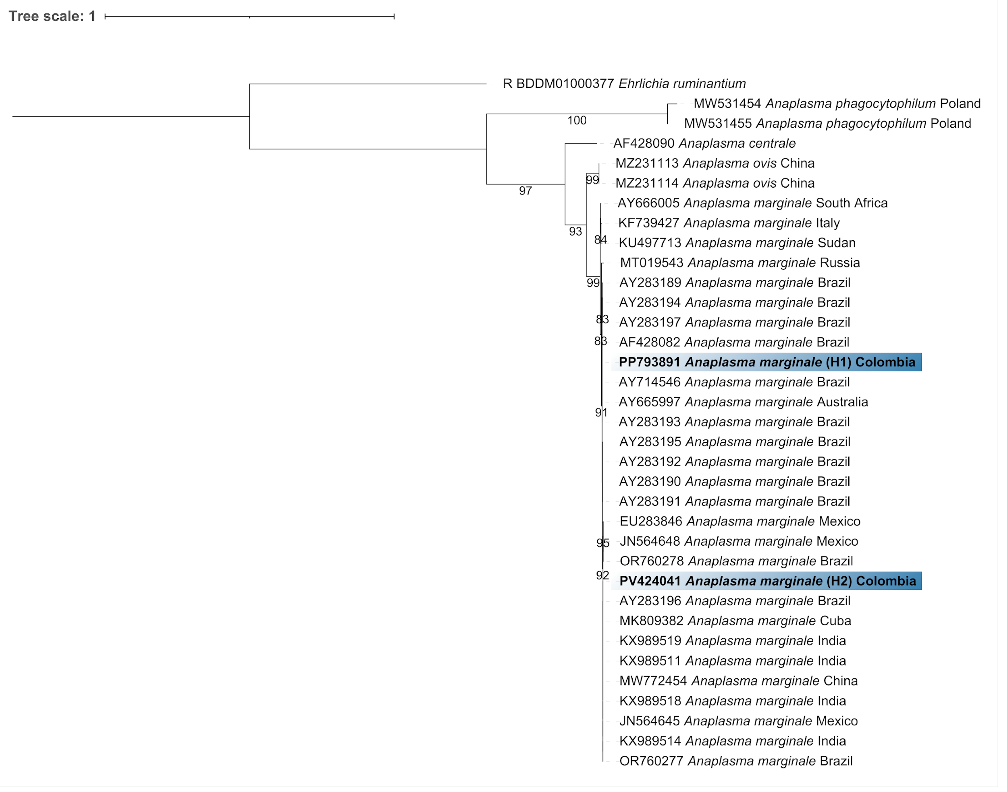 Pathogens 14 00382 g003