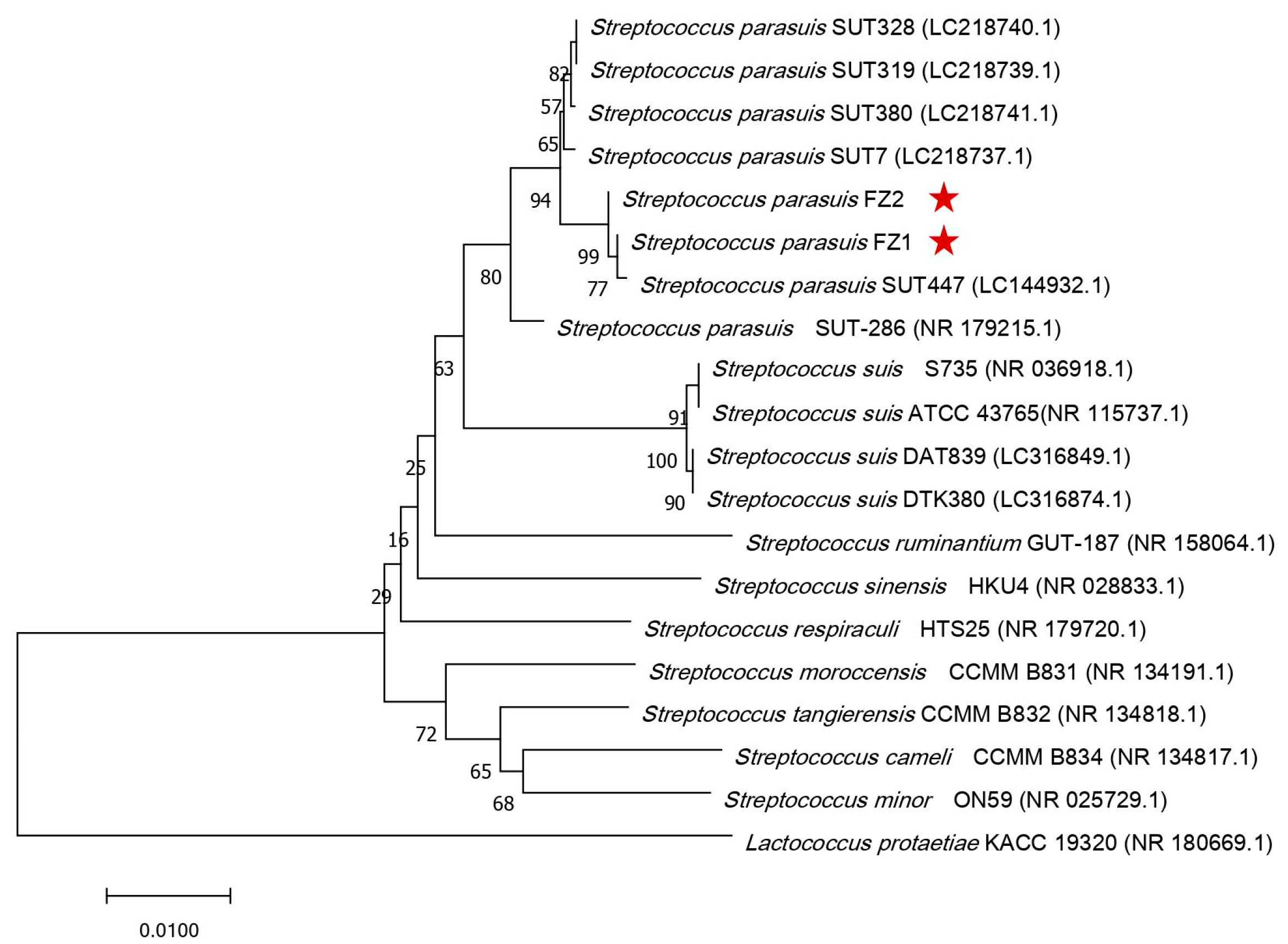 Pathogens 14 00395 g001