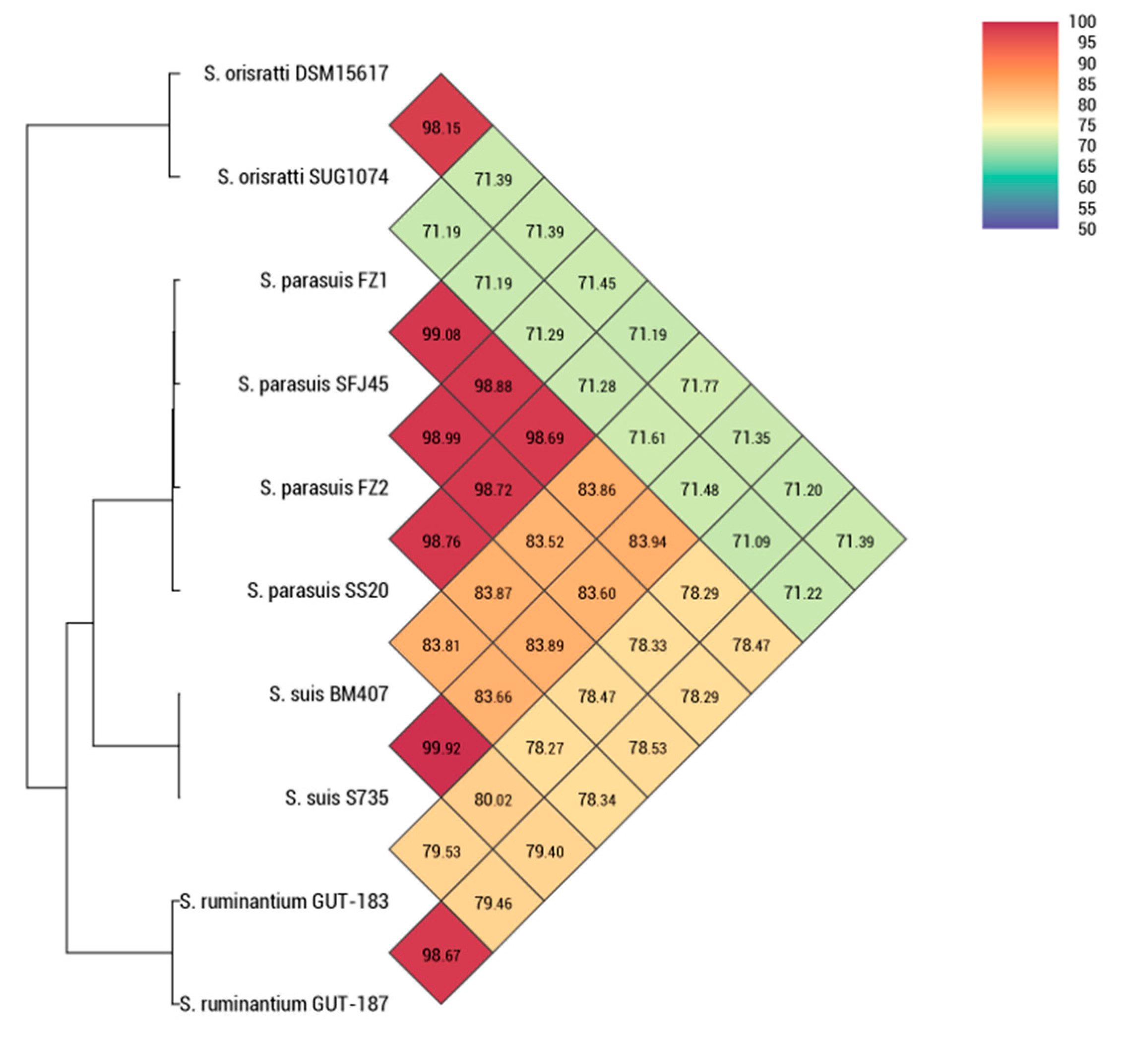 Pathogens 14 00395 g002