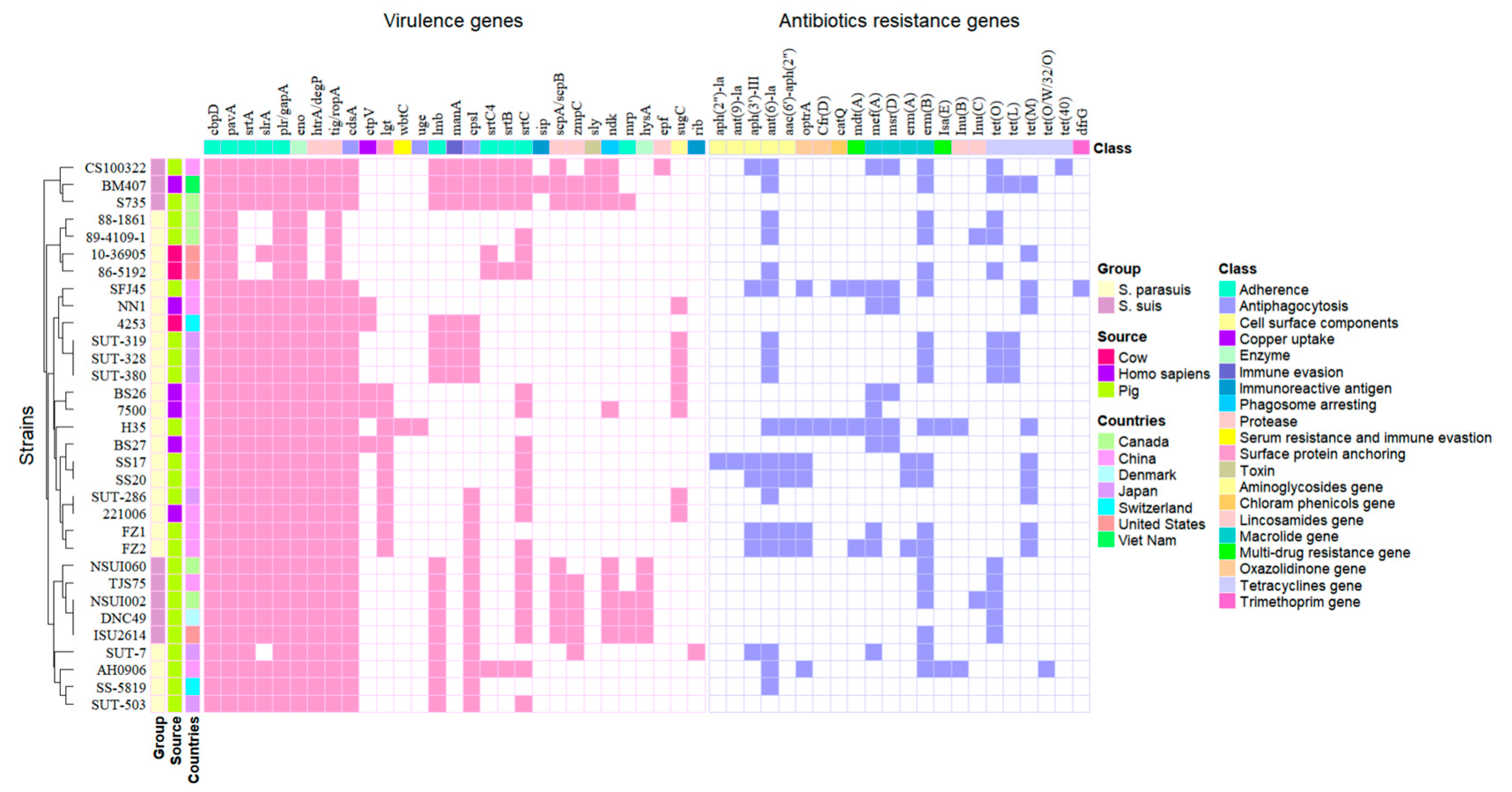 Pathogens 14 00395 g003