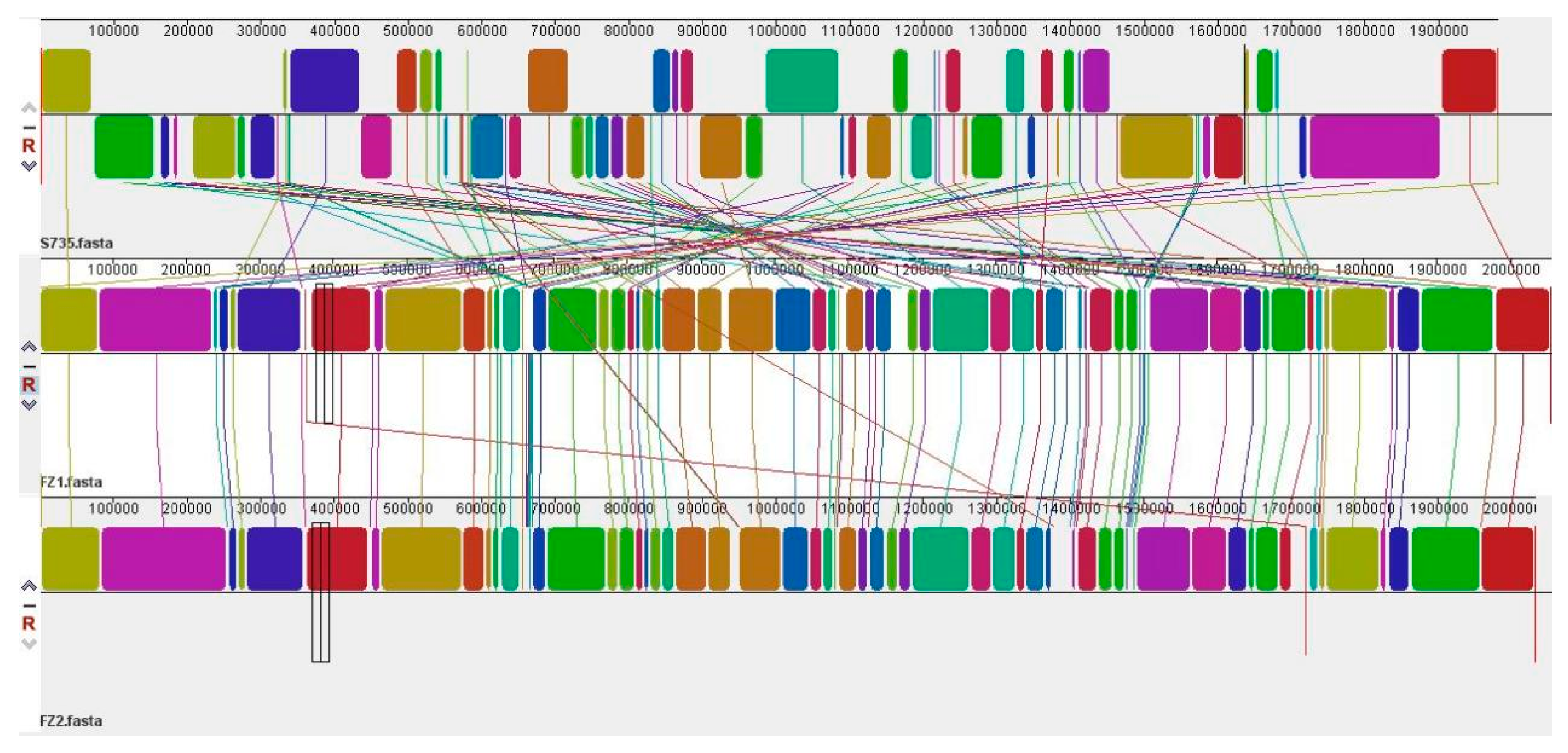 Pathogens 14 00395 g004