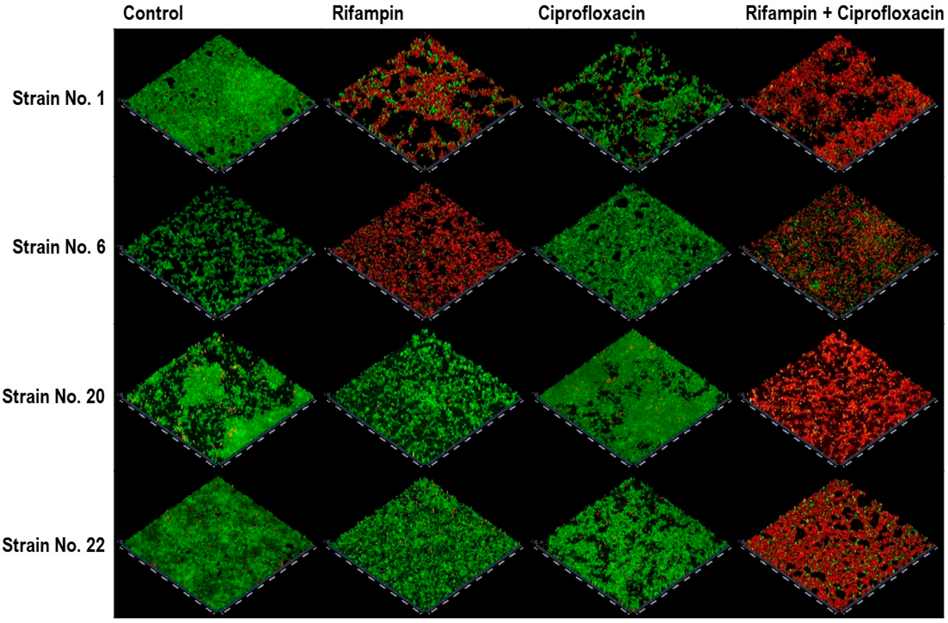 Pathogens 14 00404 g003