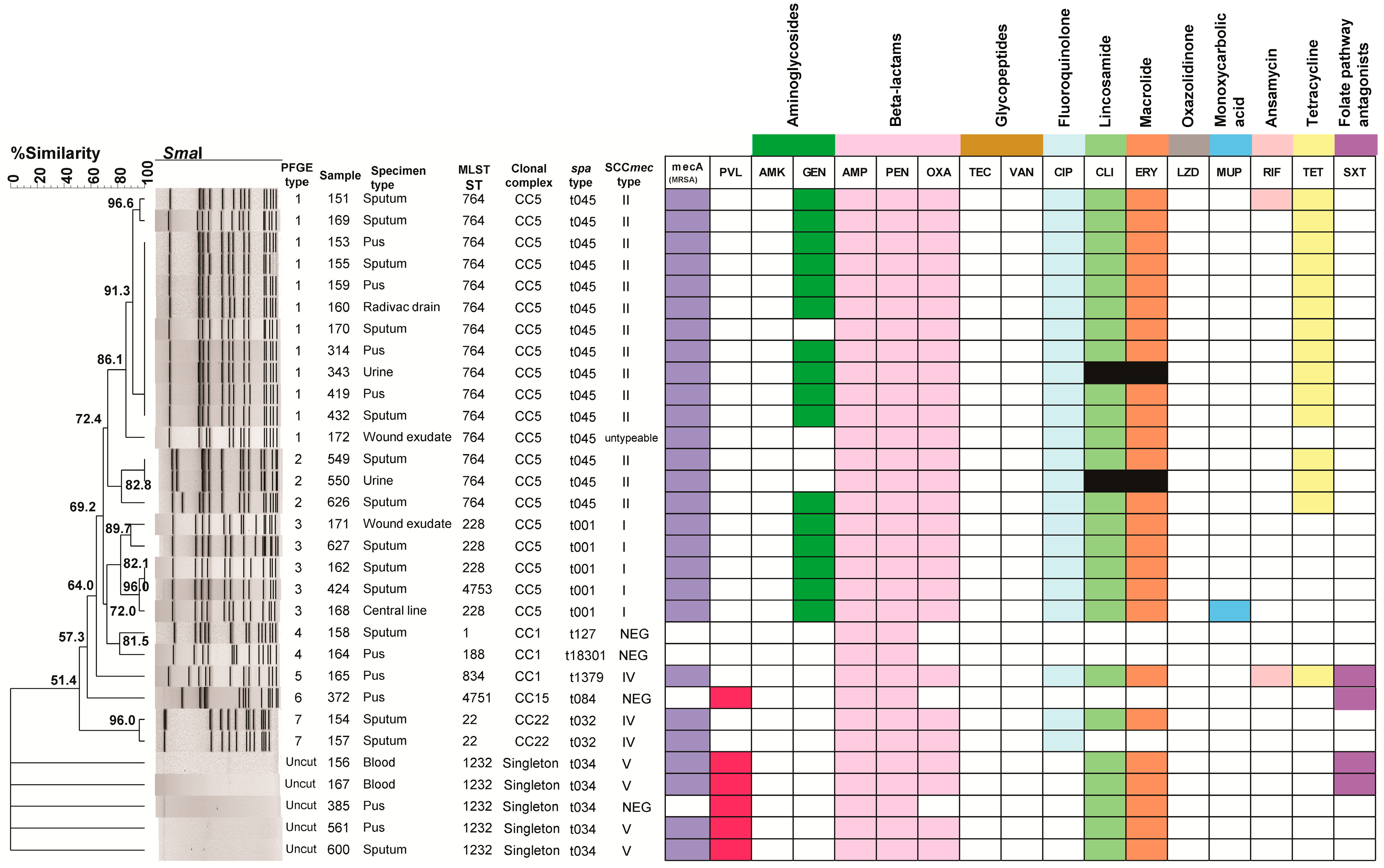 Pathogens 14 00406 g001