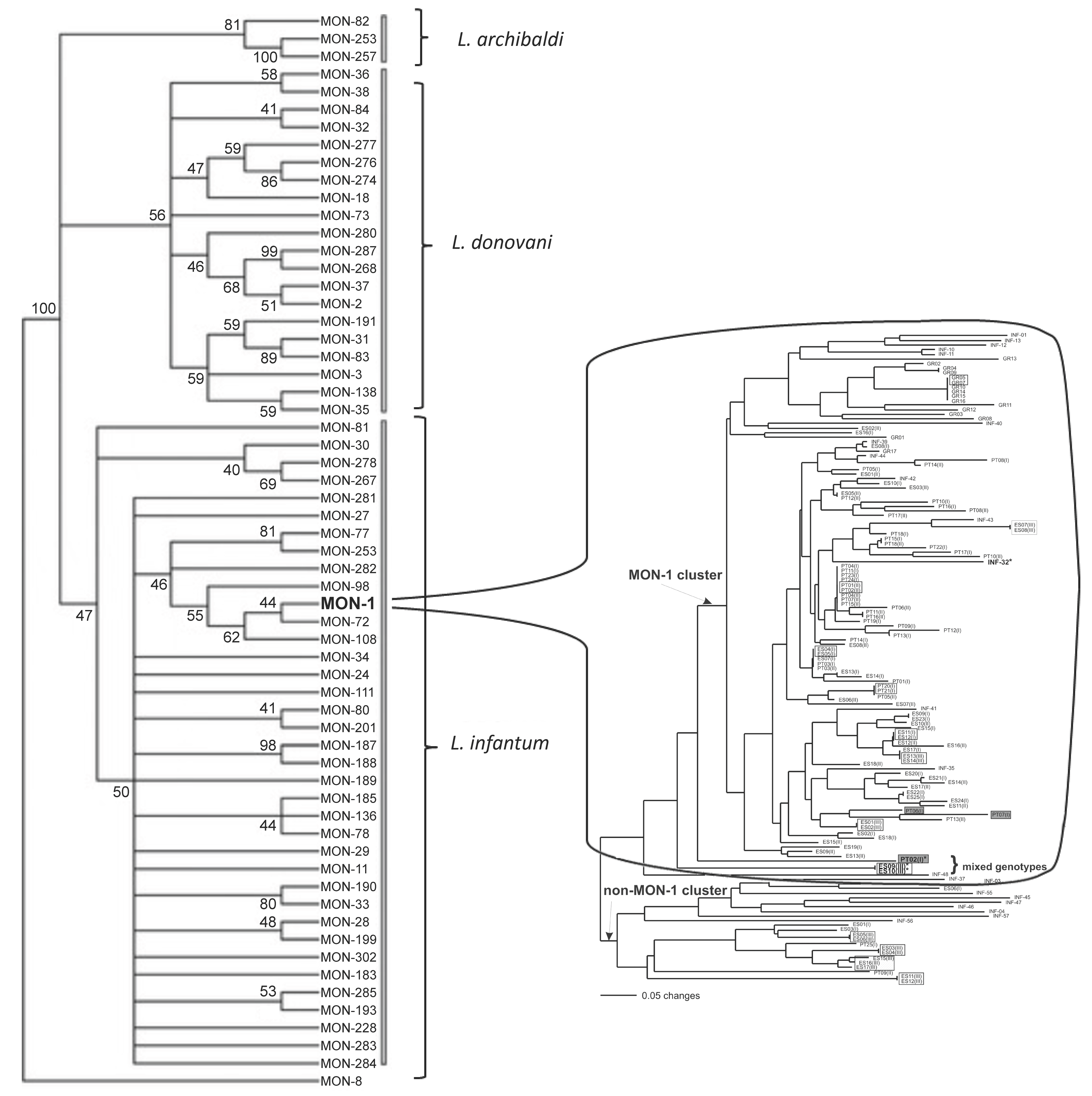 Pathogens 14 00407 g001