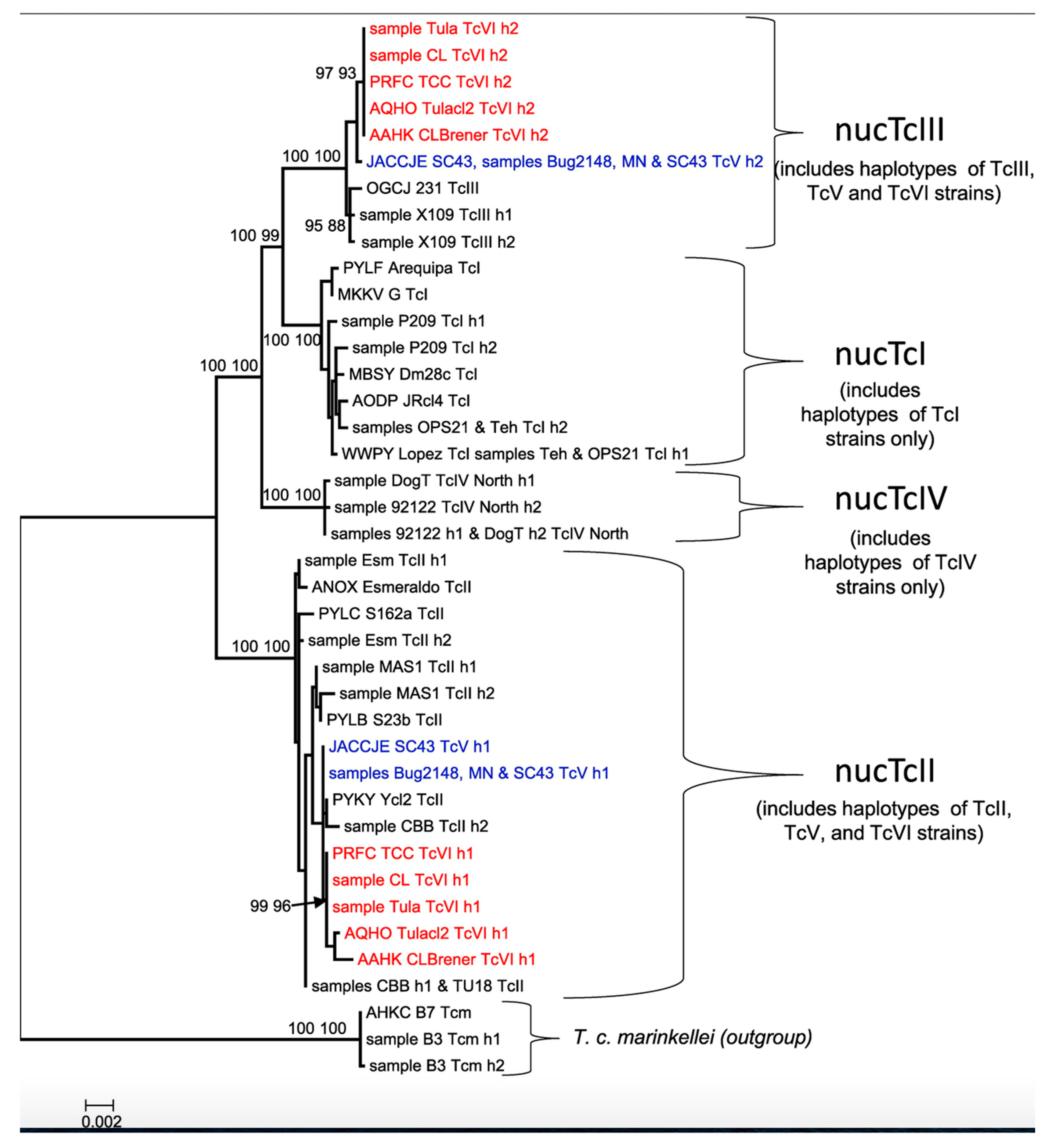Pathogens 14 00407 g002