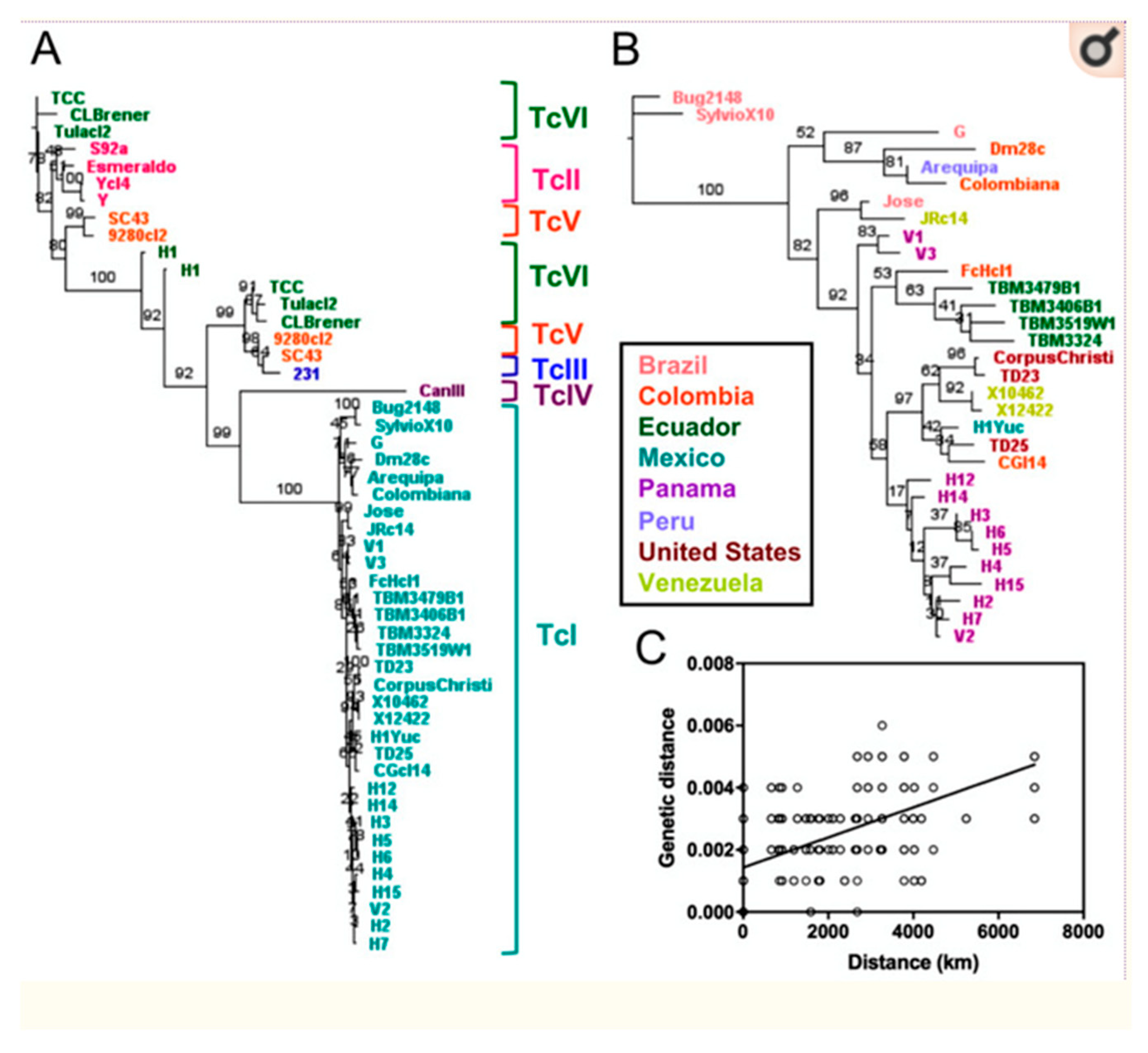 Pathogens 14 00407 g003