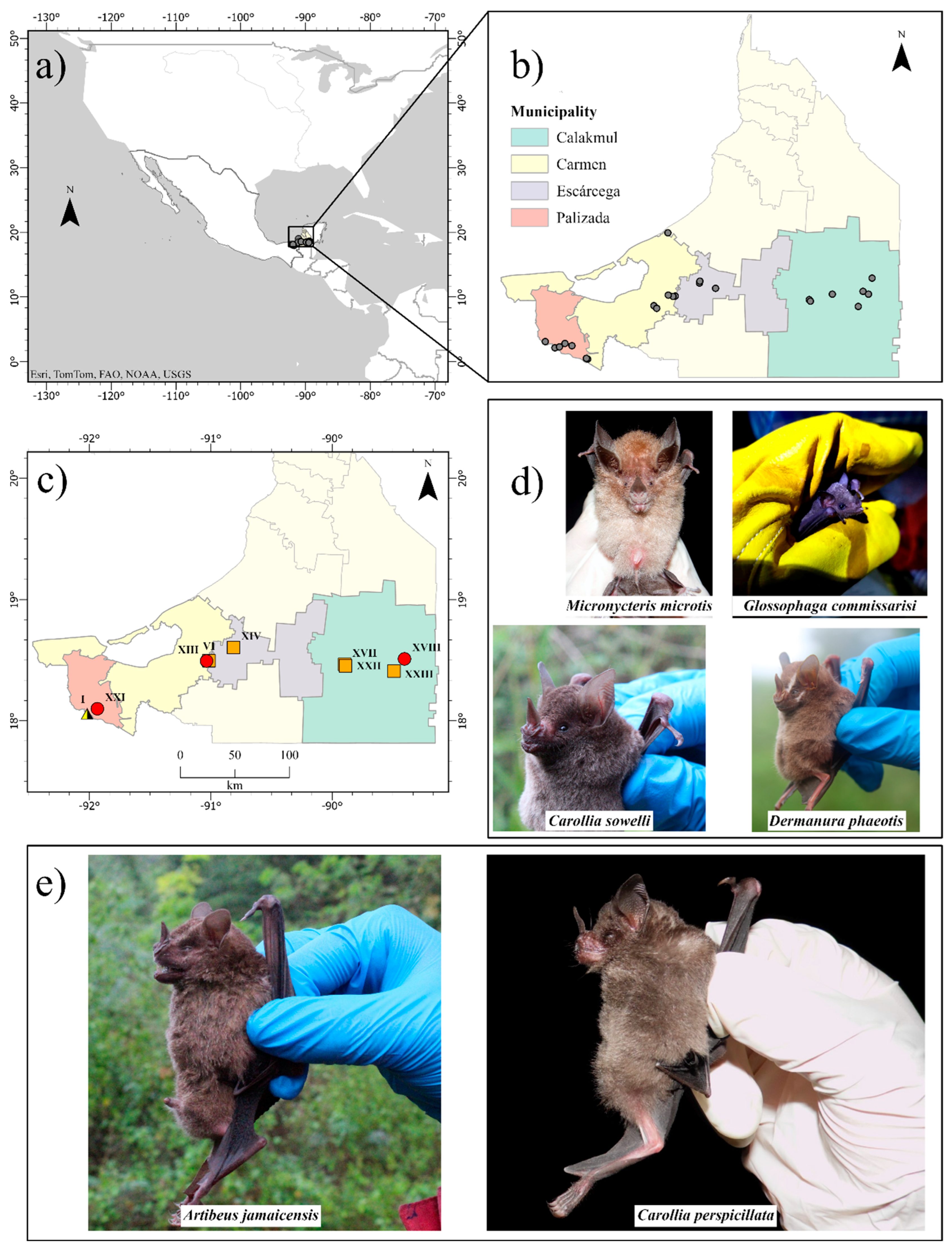 Pathogens 14 00414 g001