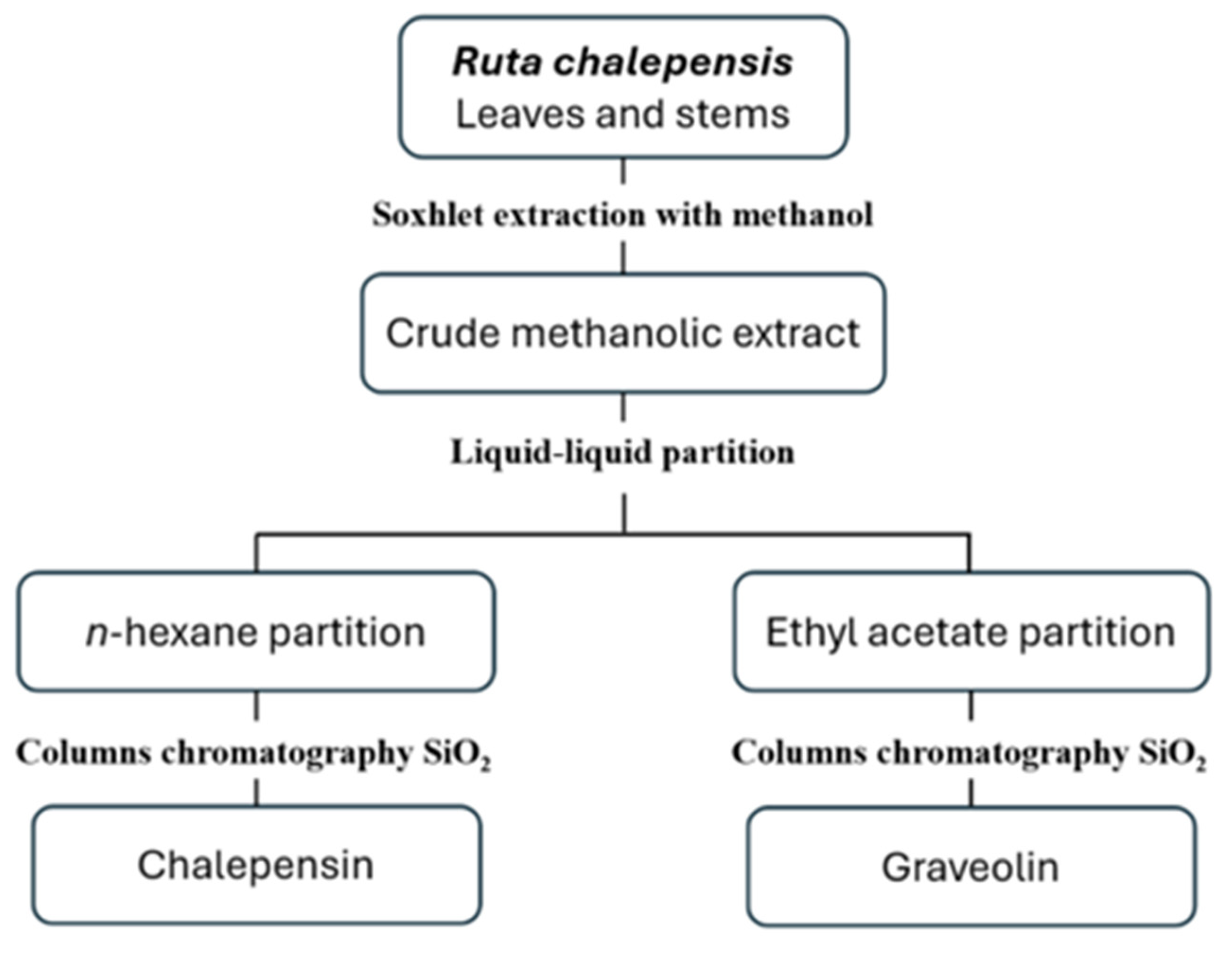 Pathogens 14 00419 g001