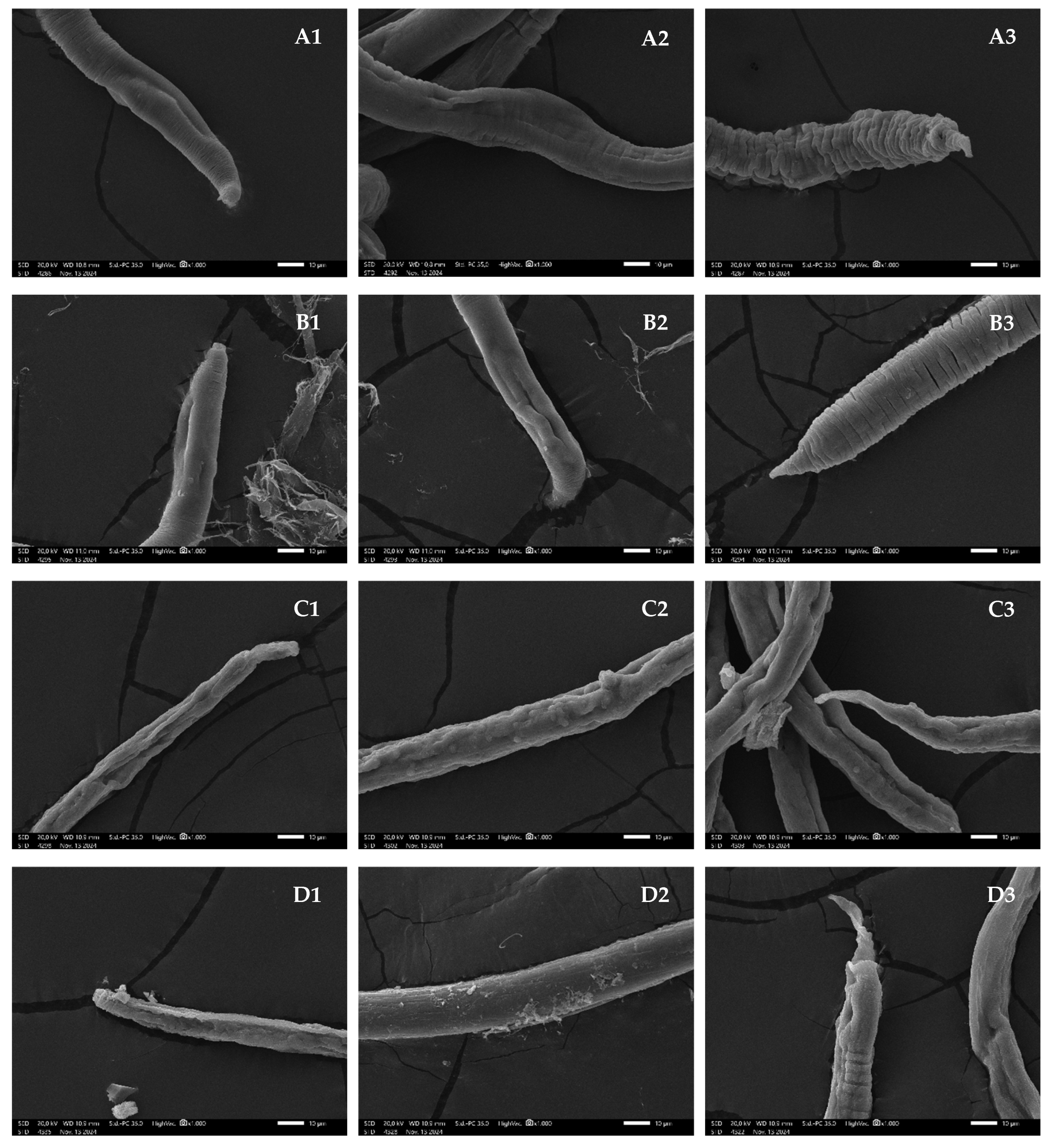 Pathogens 14 00419 g003