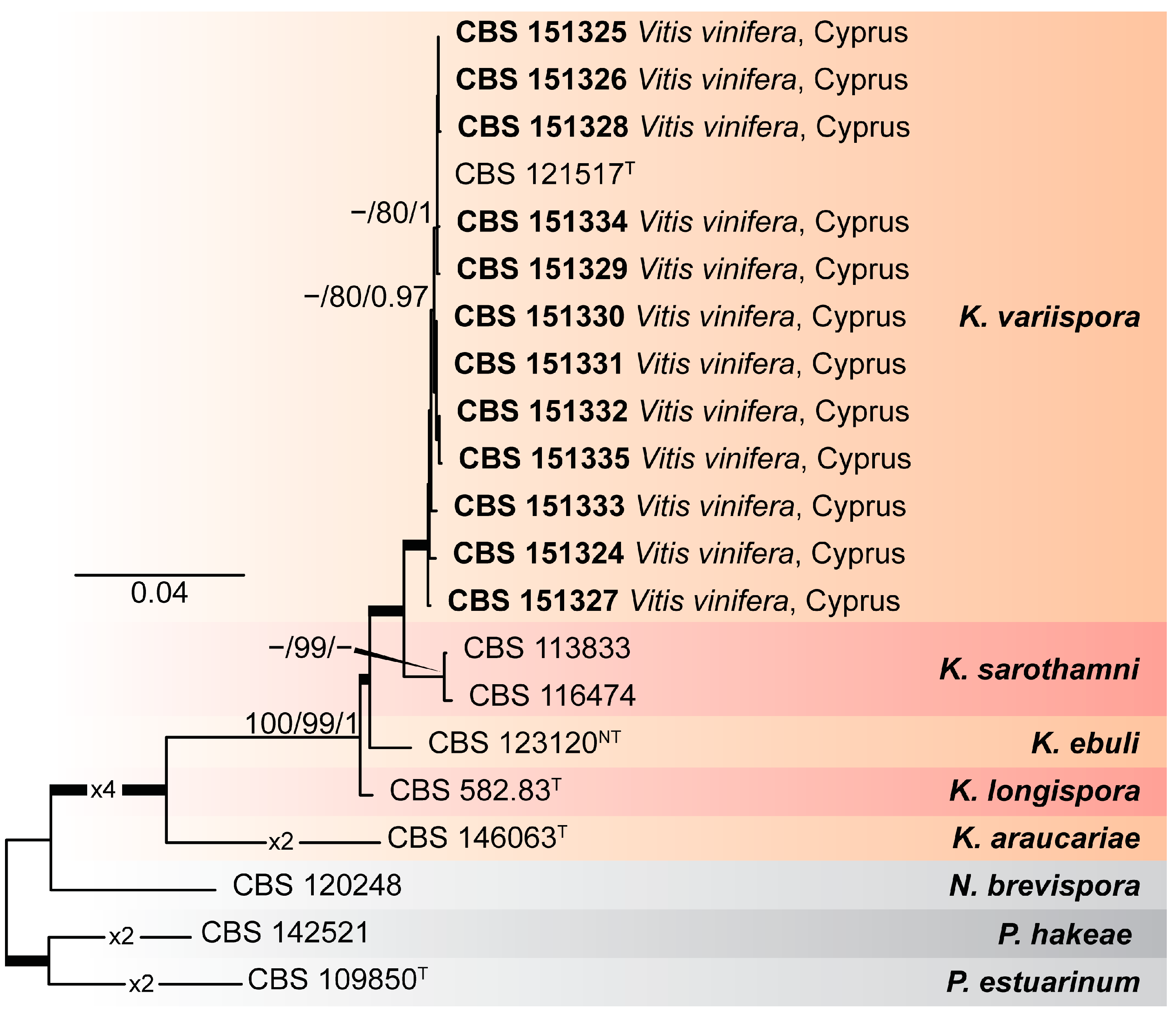 Pathogens 14 00428 g001
