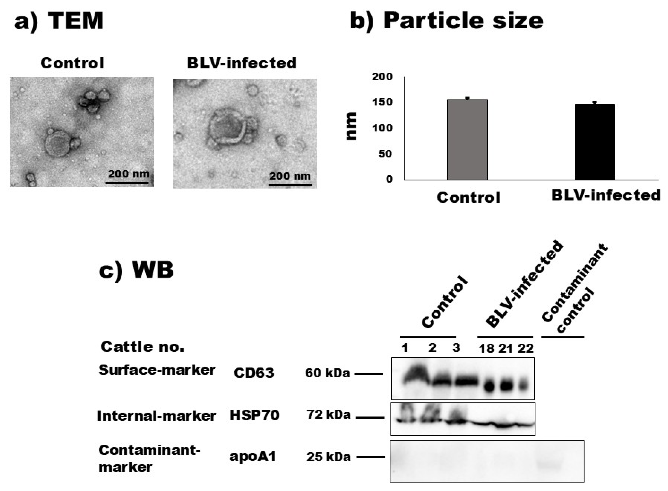 Pathogens 14 00434 g001