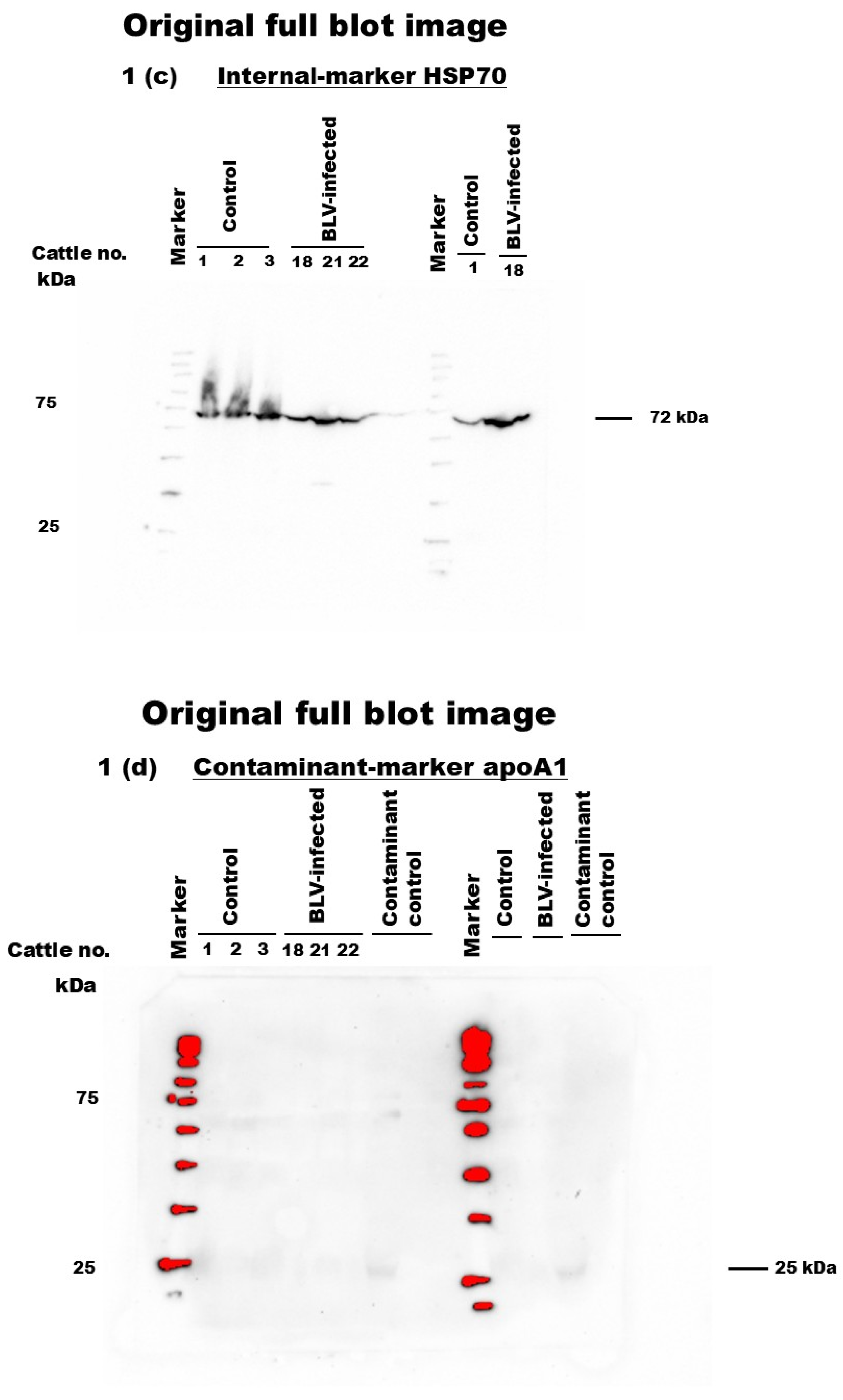 Pathogens 14 00434 g002b
