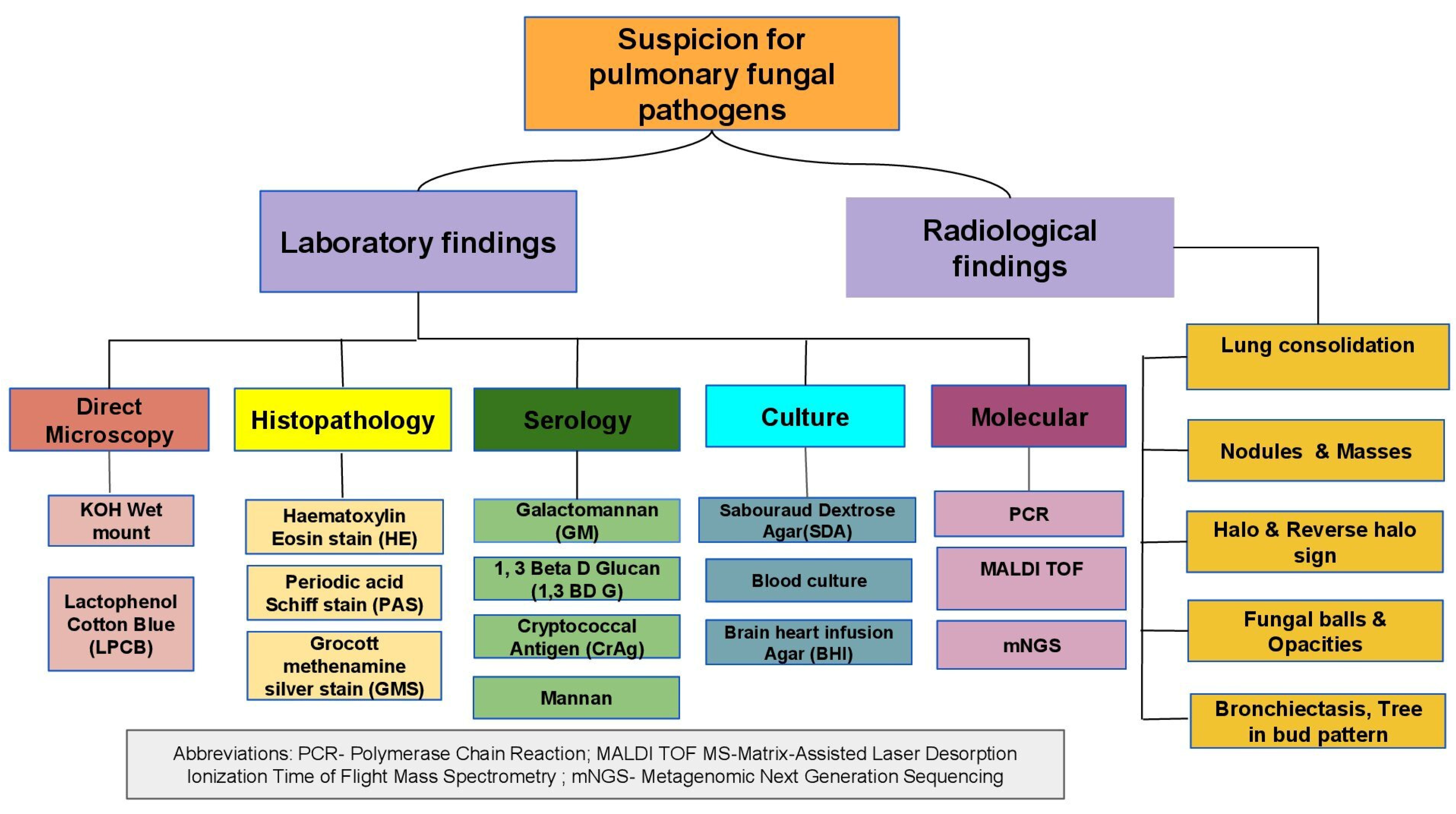 Pathogens 14 00435 g001