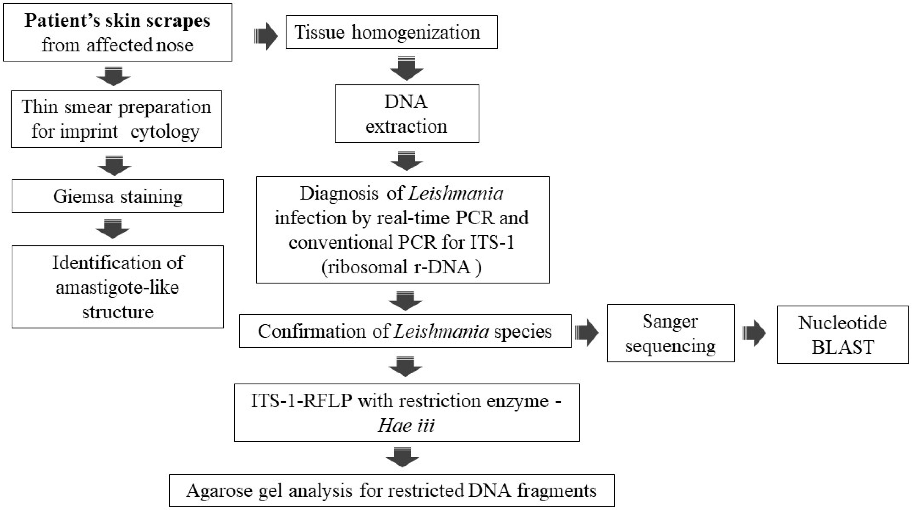 Pathogens 14 00436 g002