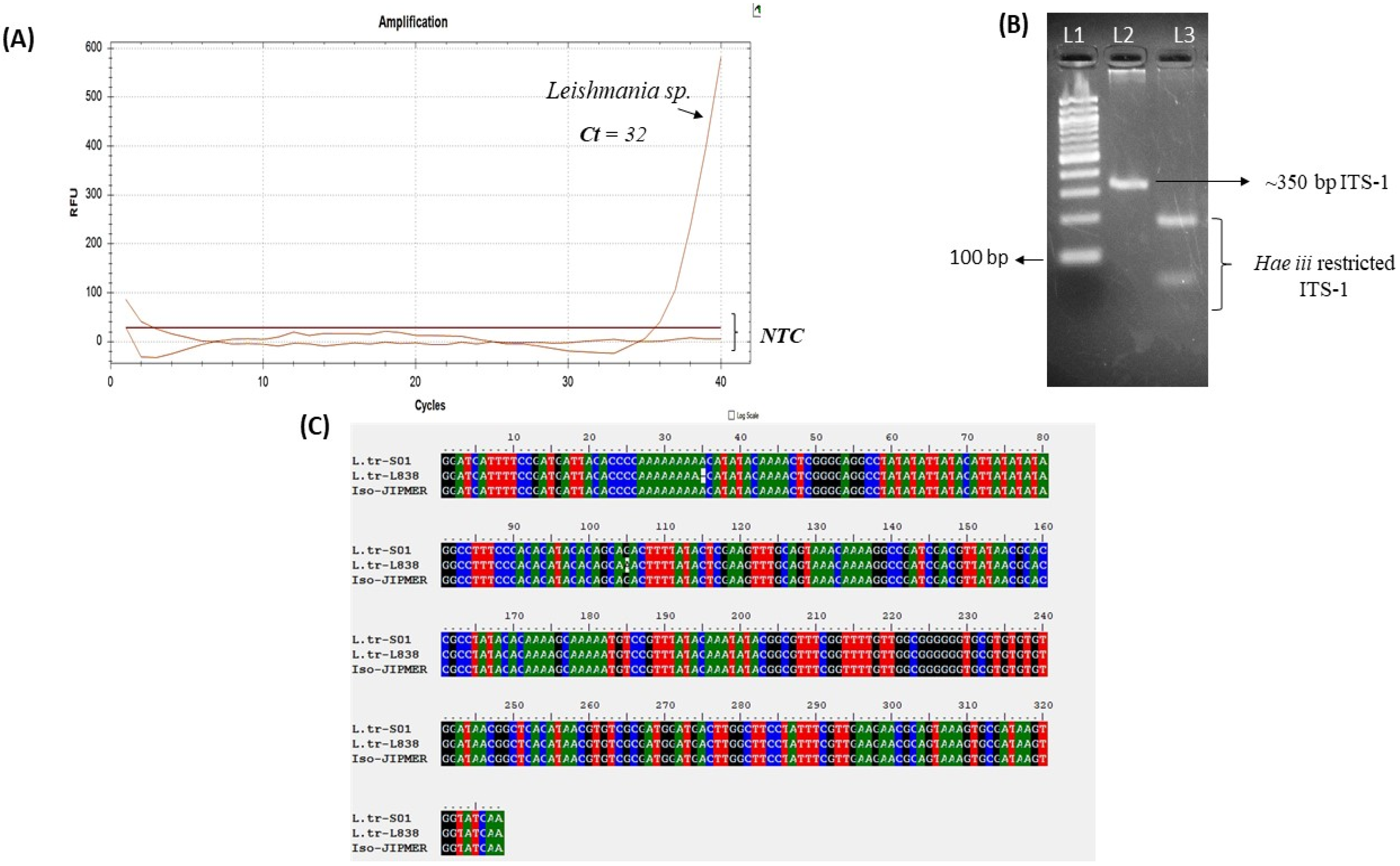 Pathogens 14 00436 g004