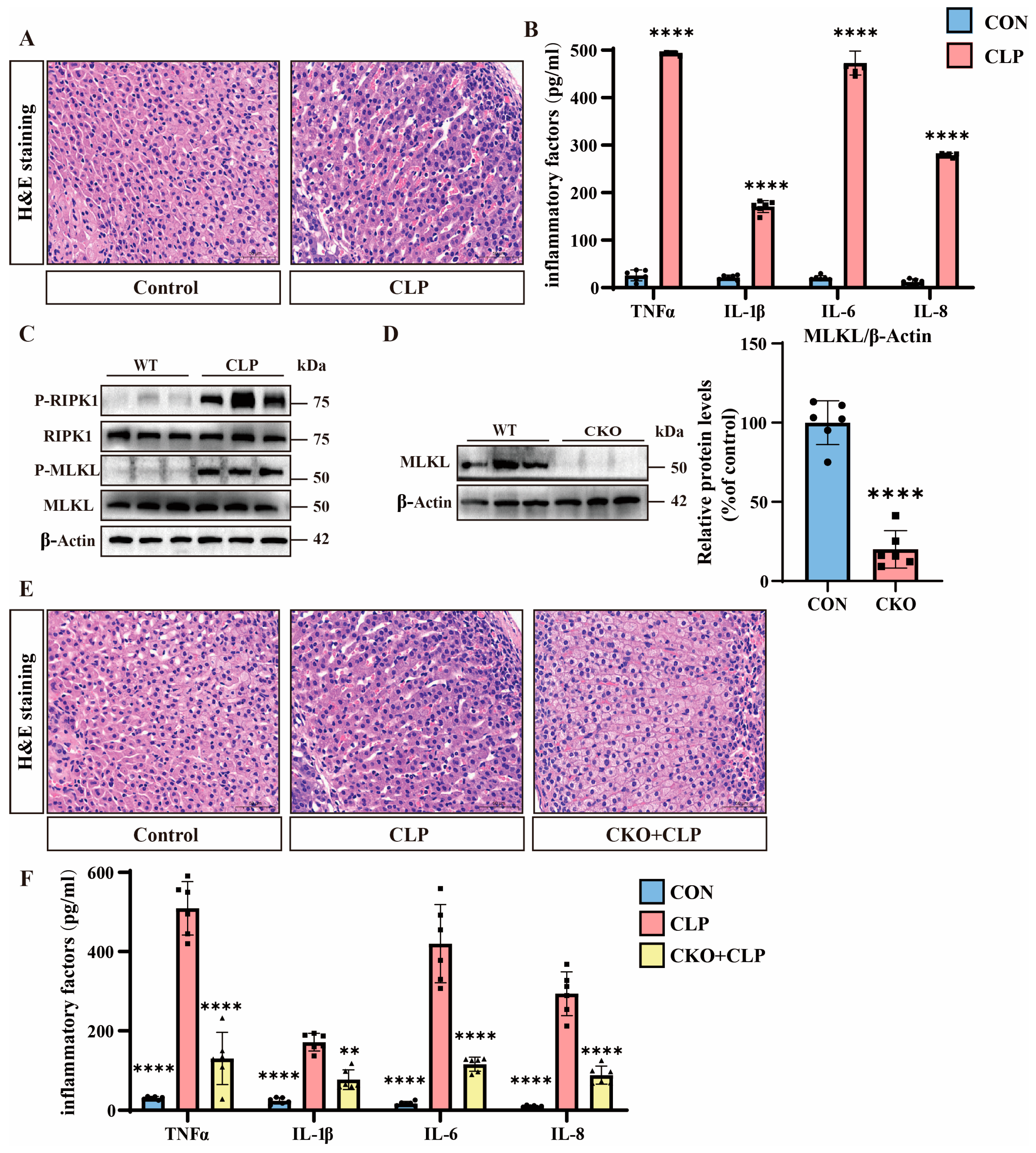 Pathogens 14 00439 g001