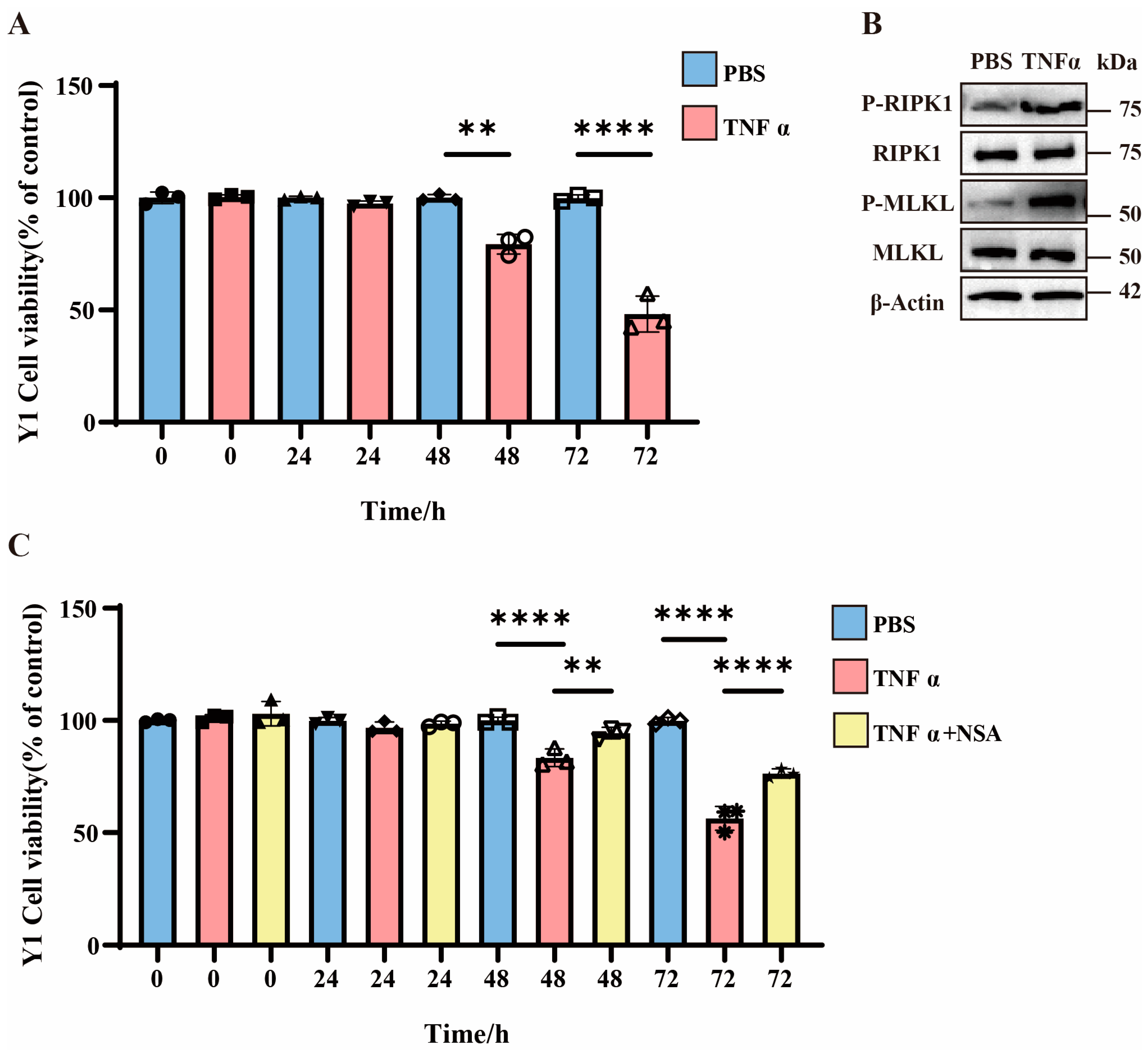 Pathogens 14 00439 g002