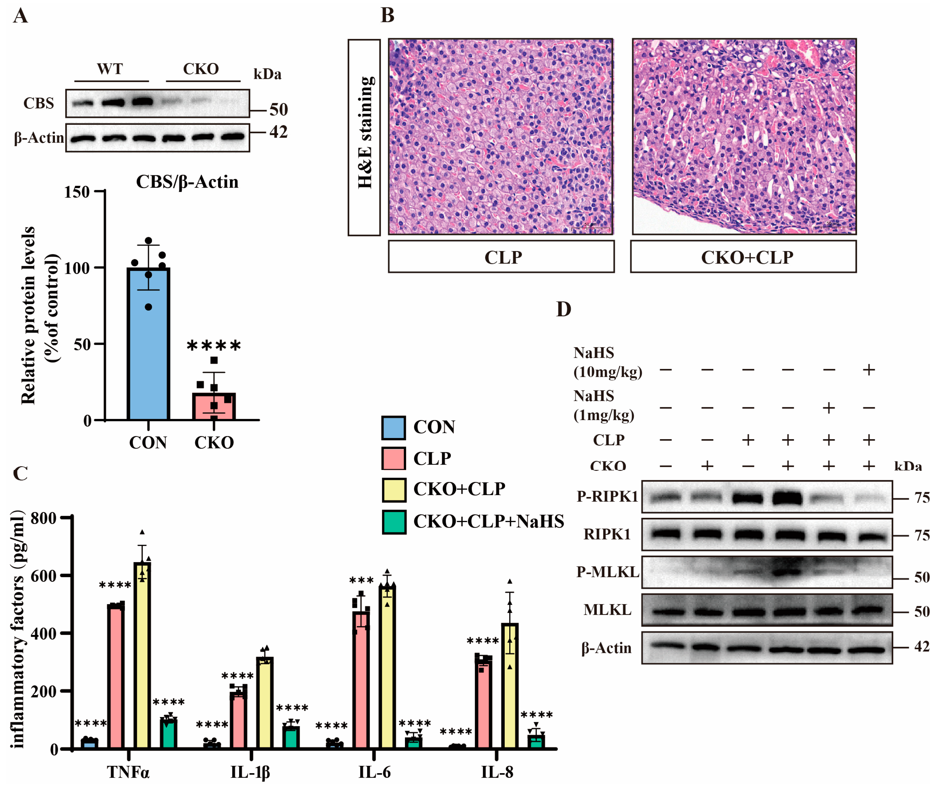 Pathogens 14 00439 g003