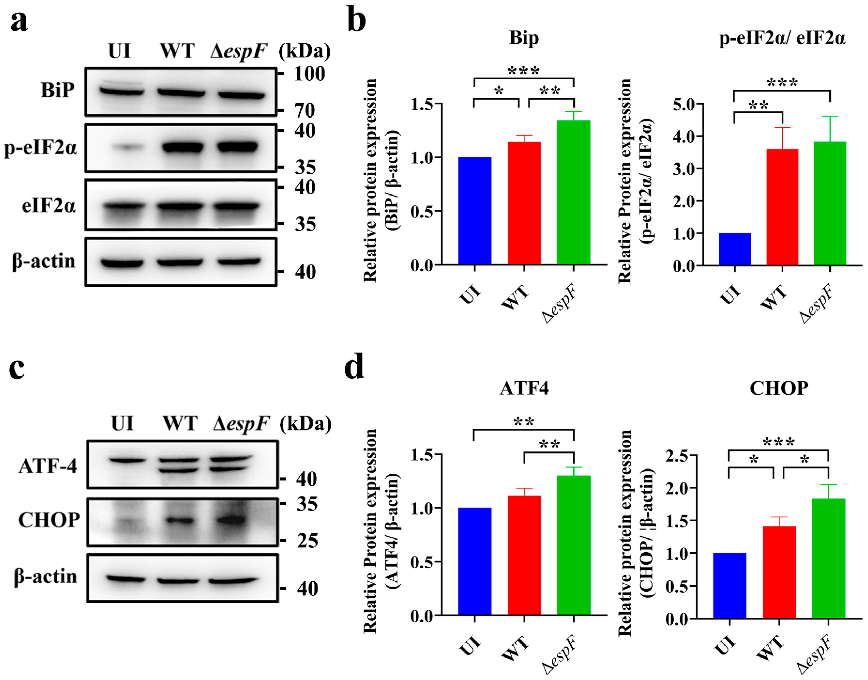 Pathogens 14 00440 g001