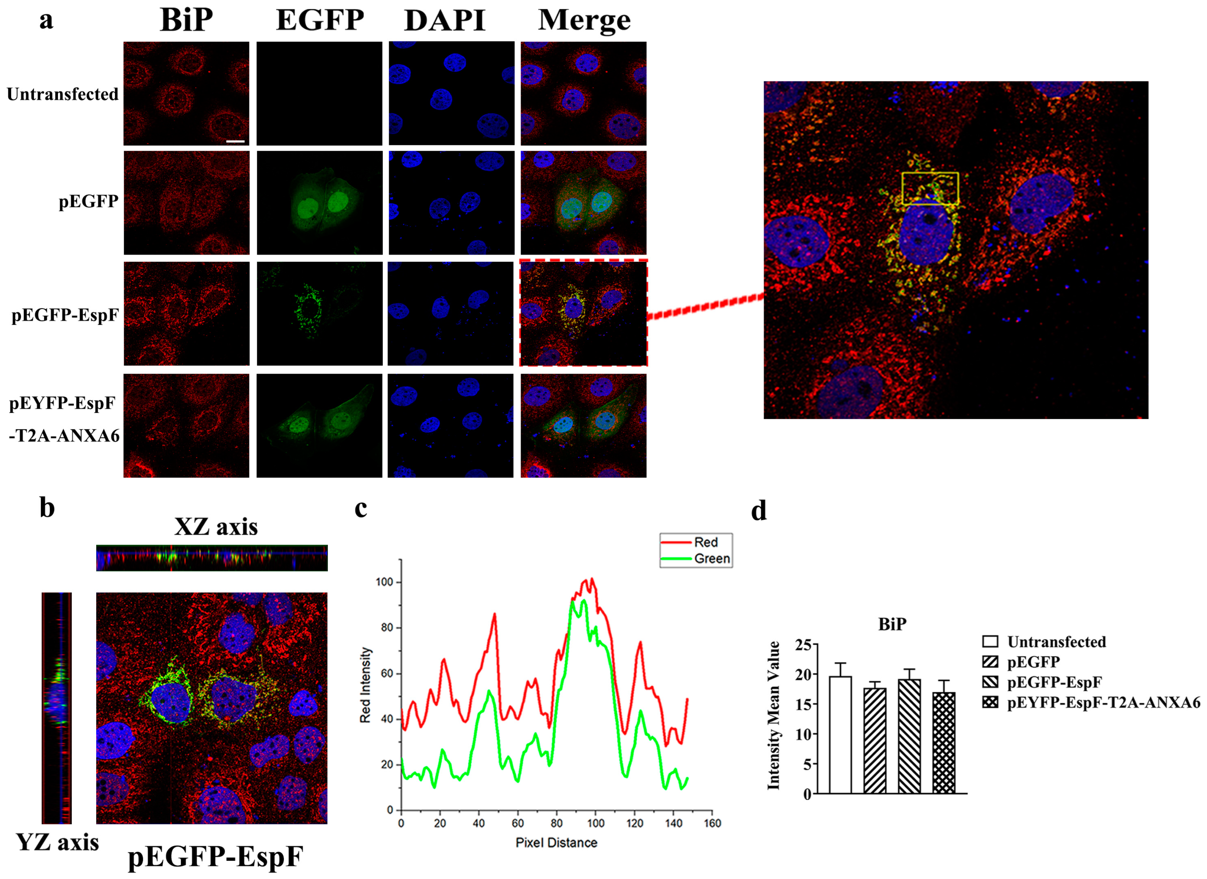 Pathogens 14 00440 g002