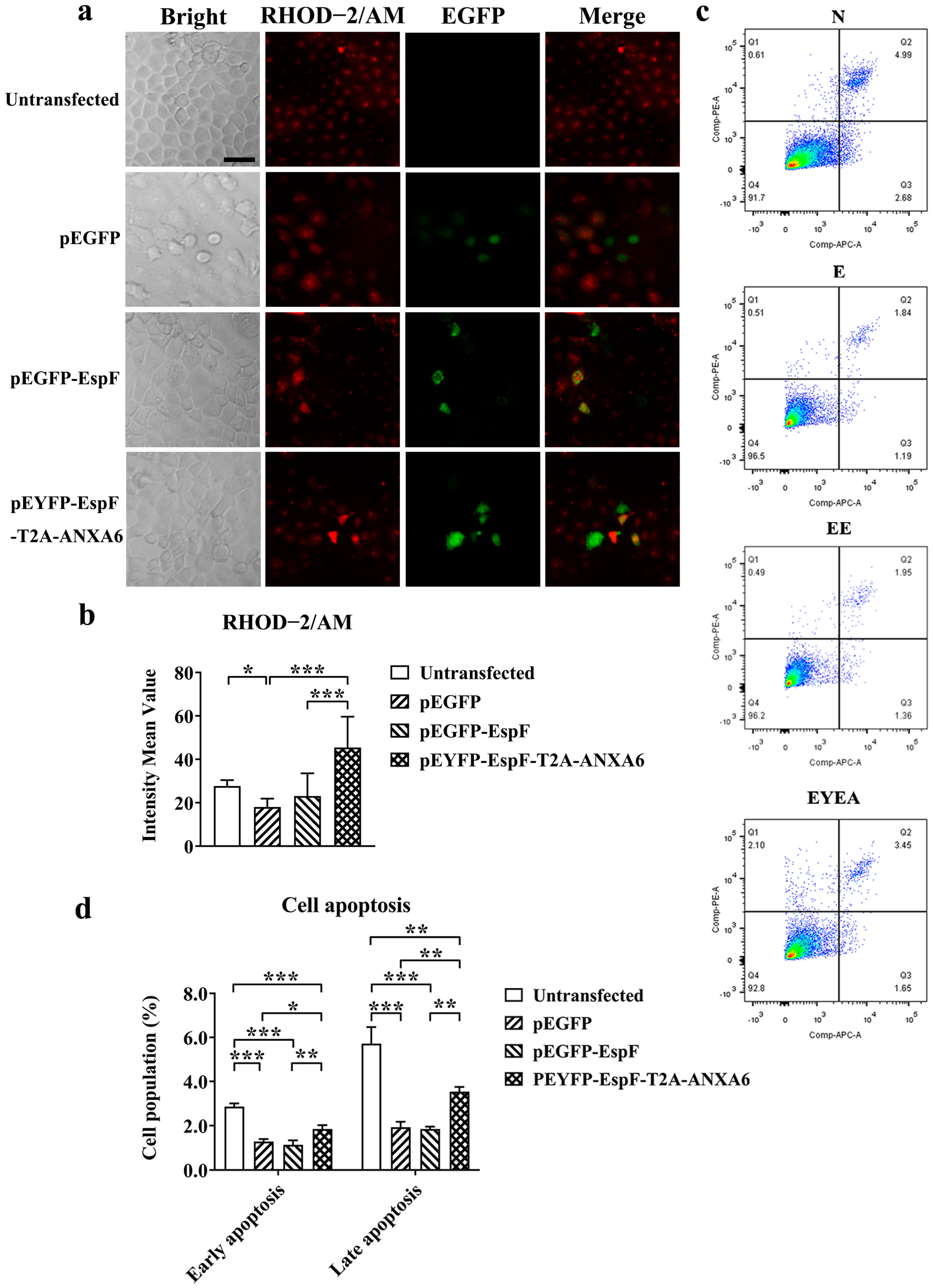 Pathogens 14 00440 g004