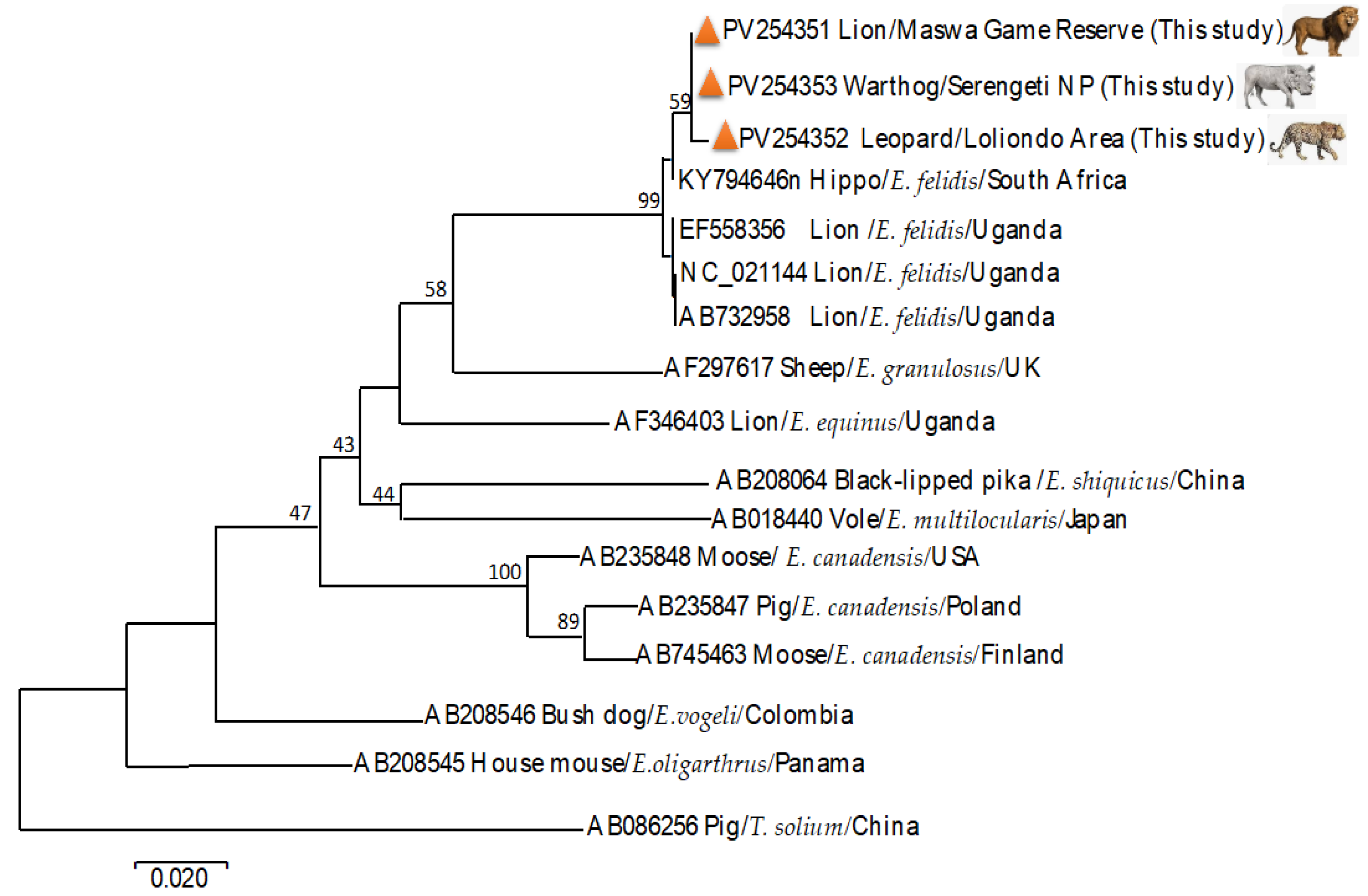 Pathogens 14 00443 g003