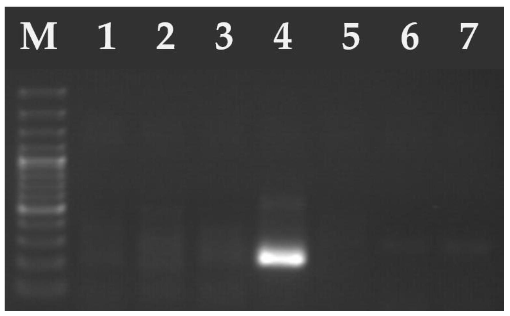 Pathogens 14 00444 g003