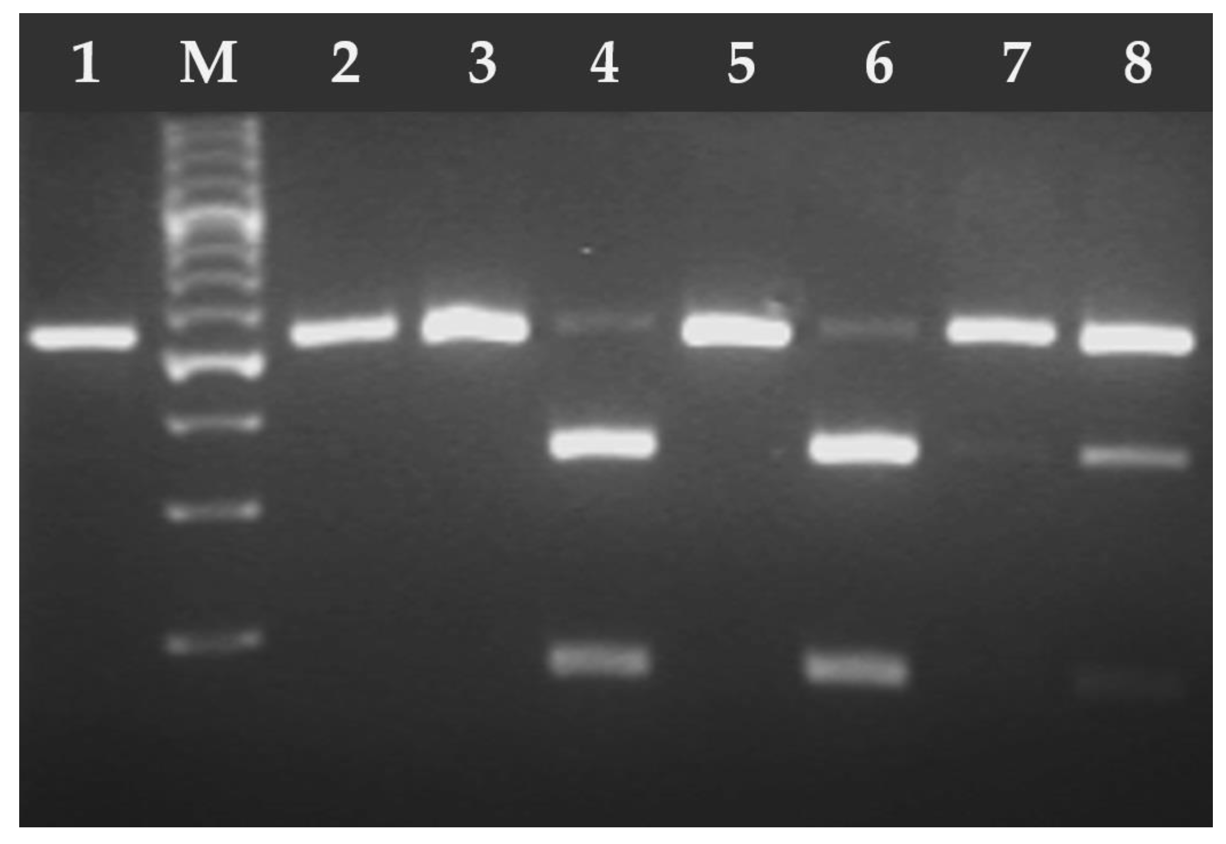 Pathogens 14 00444 g004
