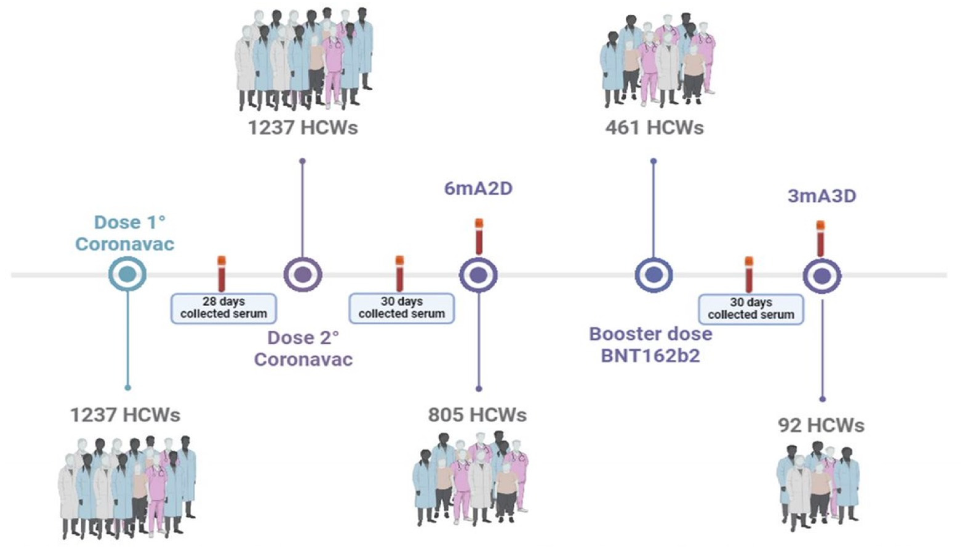 Pathogens 14 00445 g001