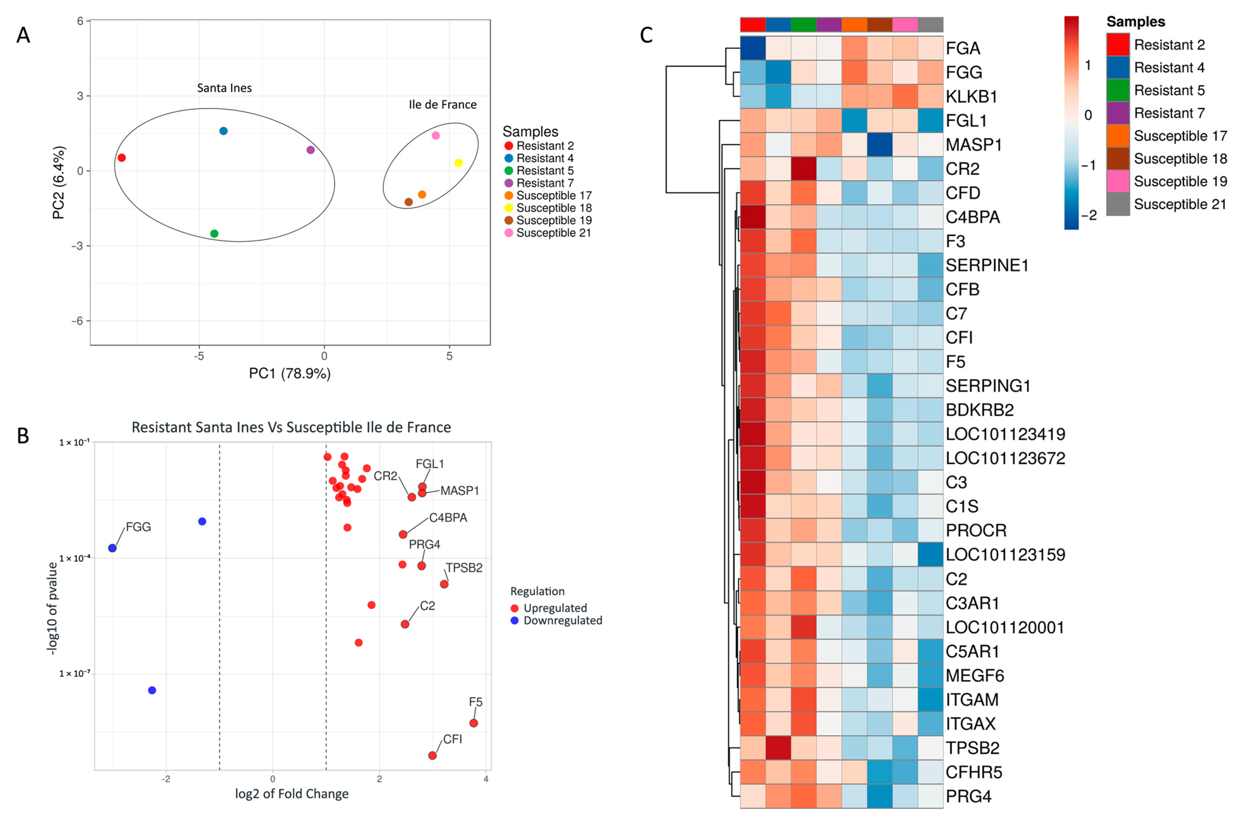 Pathogens 14 00447 g001