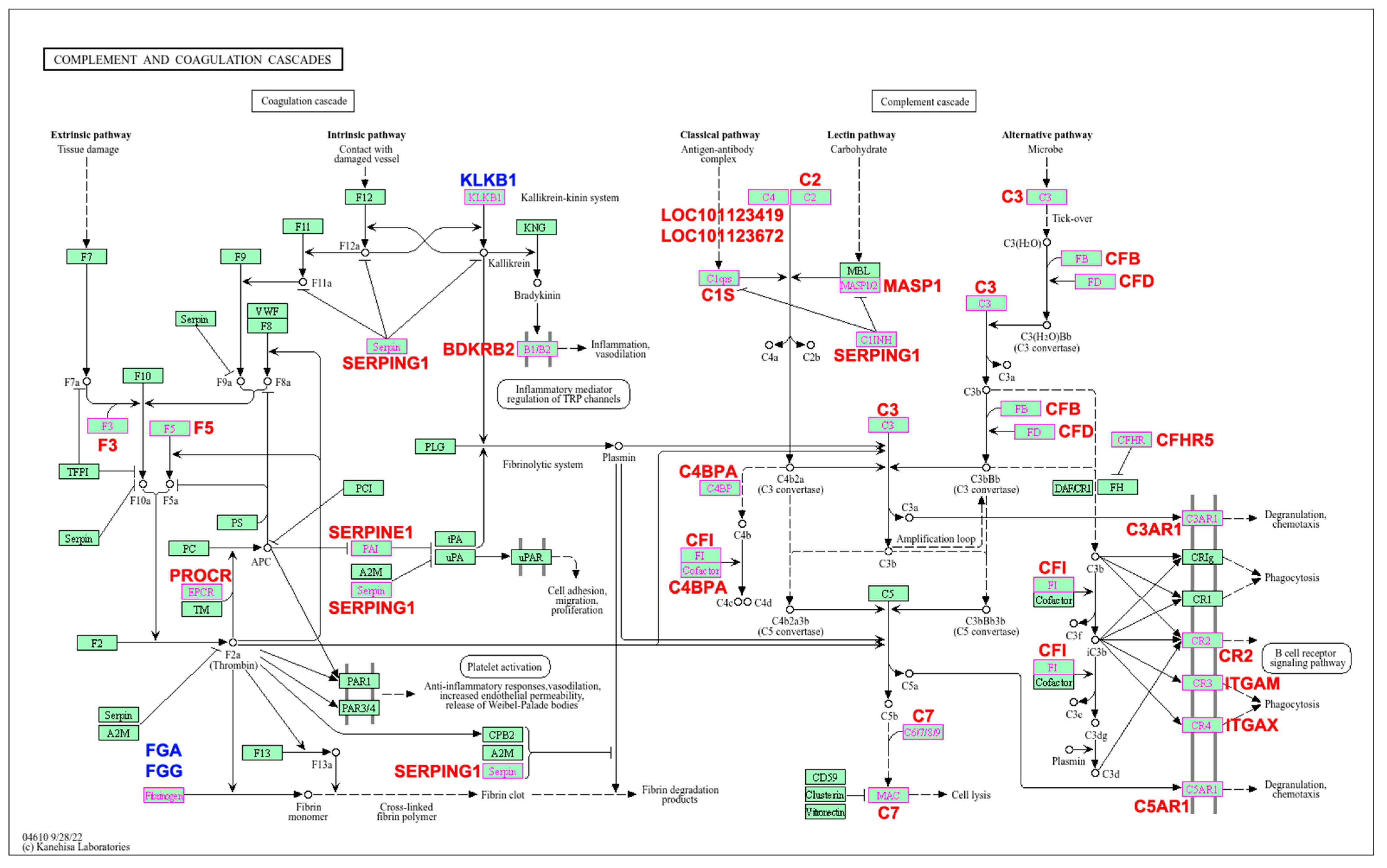 Pathogens 14 00447 g002