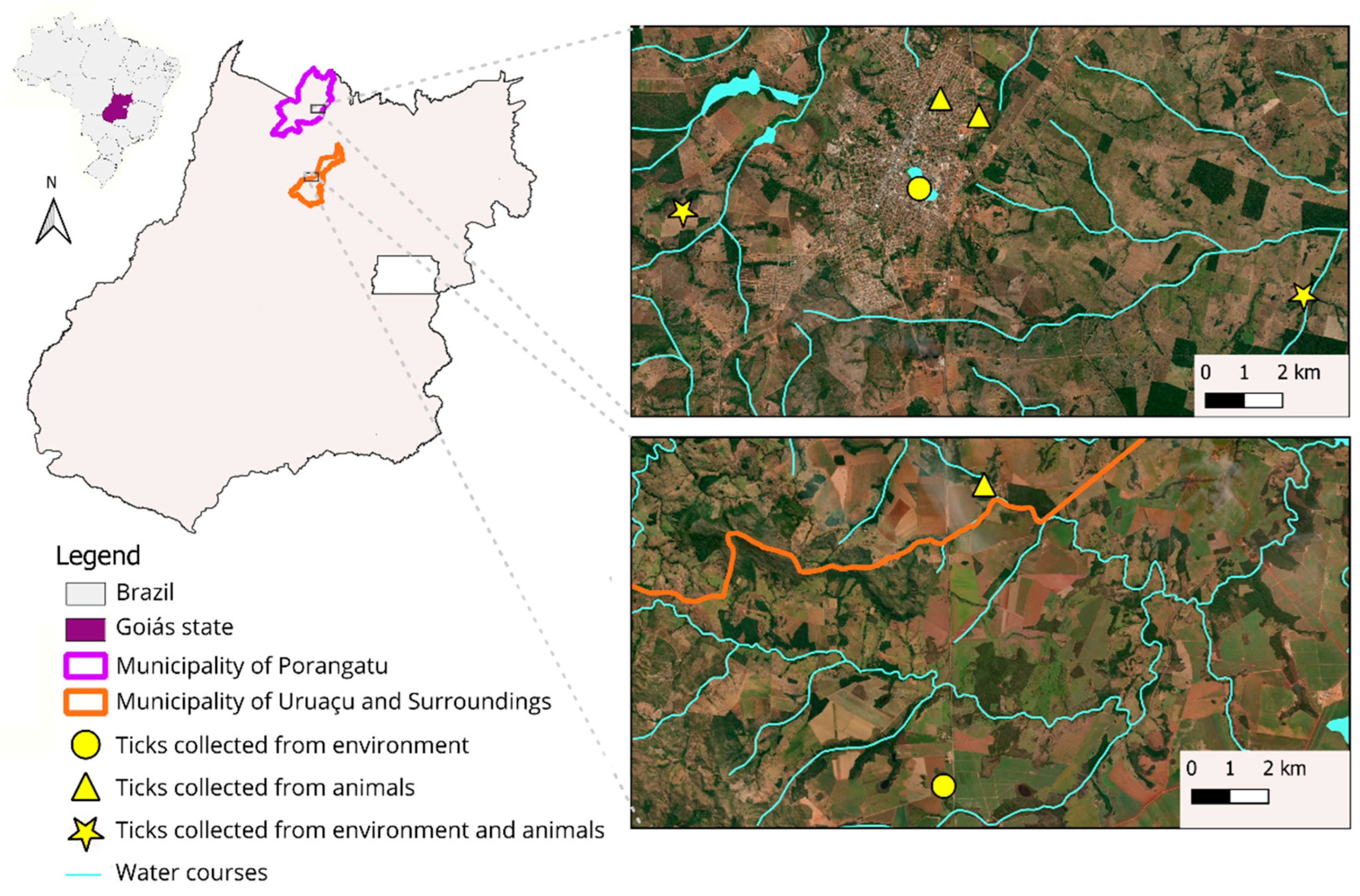 Pathogens 14 00449 g001