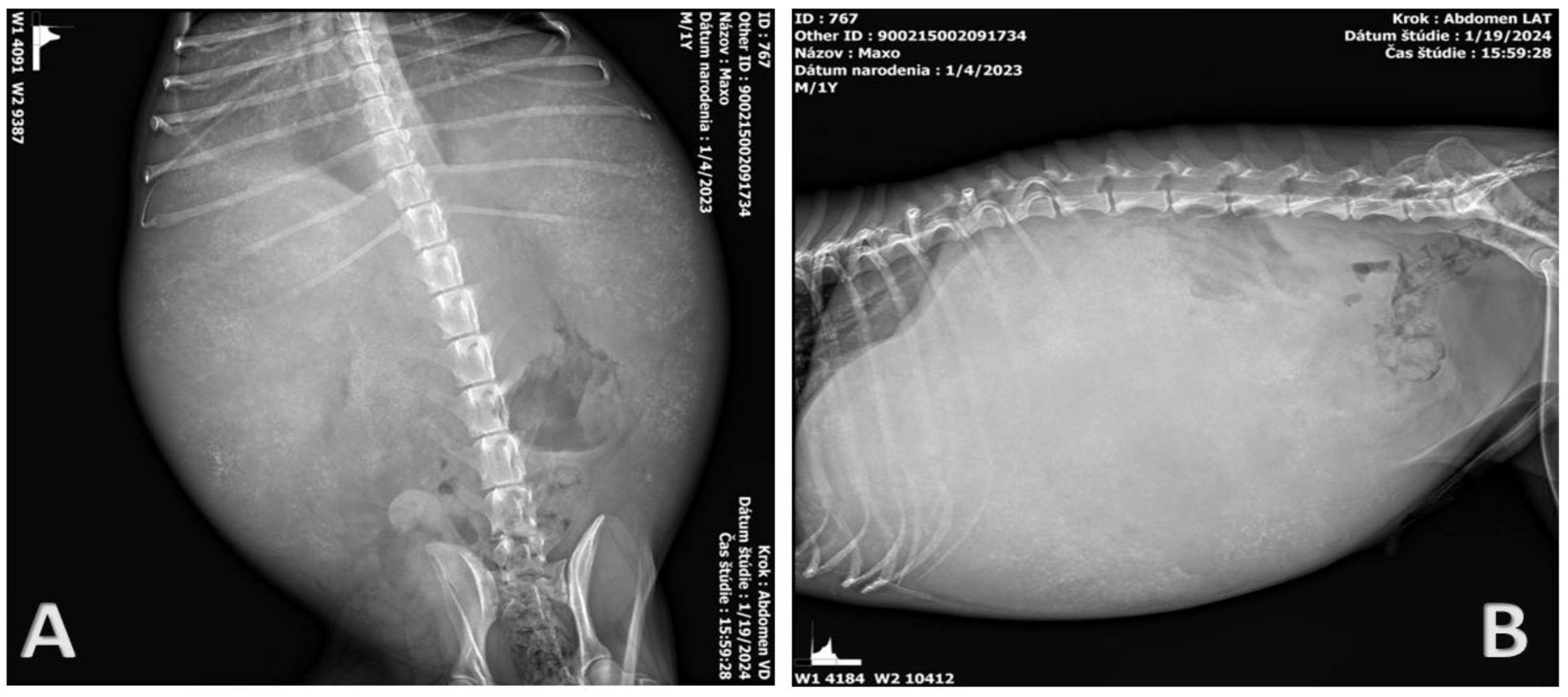 Pathogens 14 00450 g002
