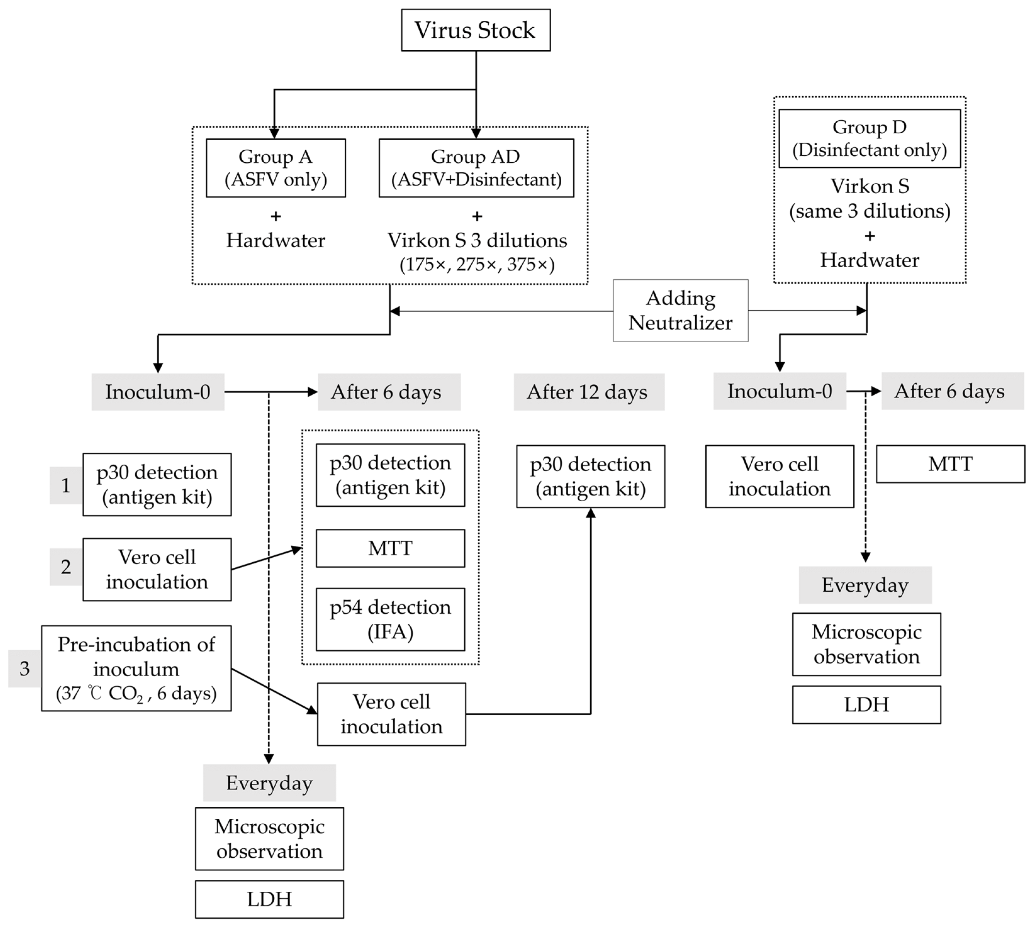 Pathogens 14 00451 g001