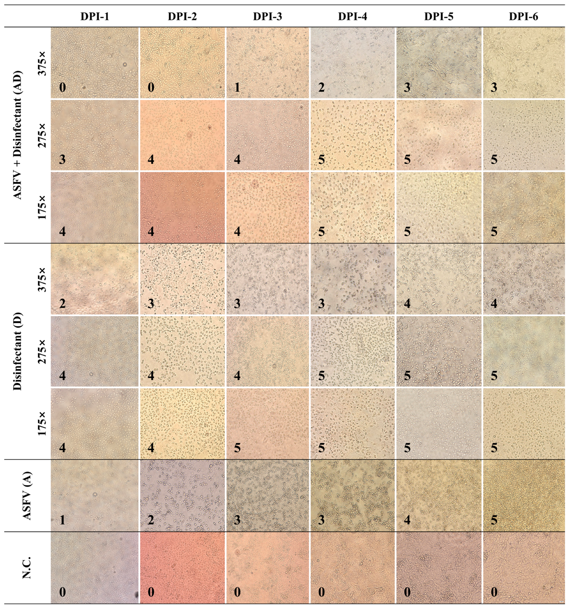 Pathogens 14 00451 g002