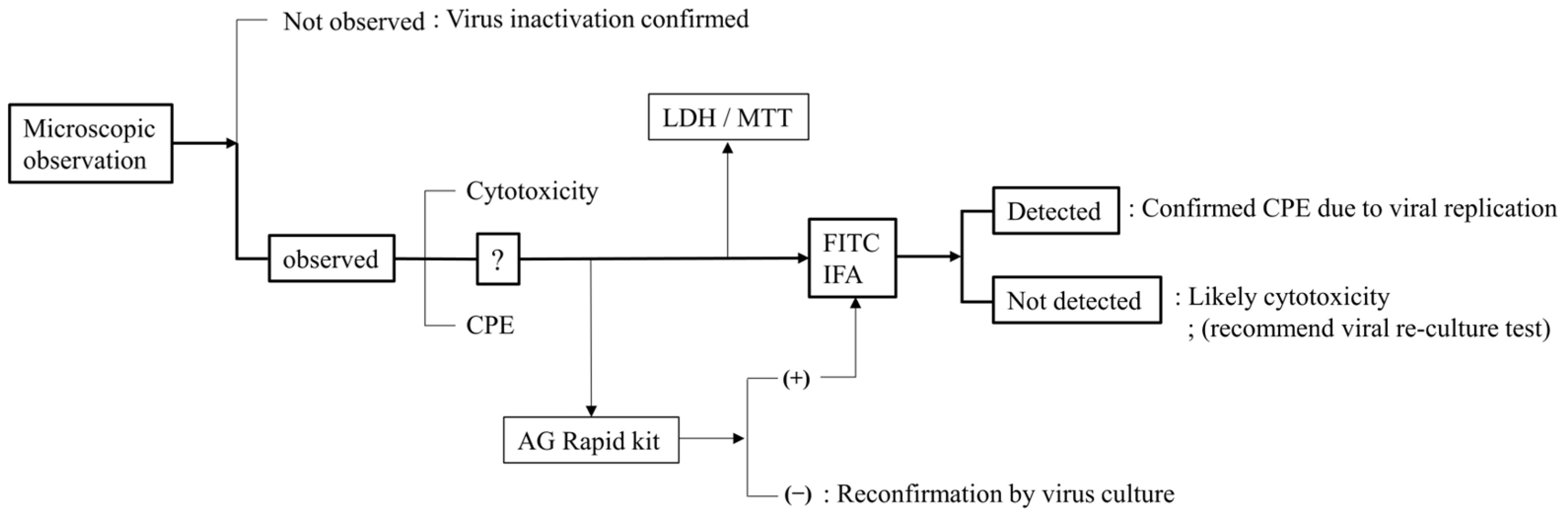 Pathogens 14 00451 g006