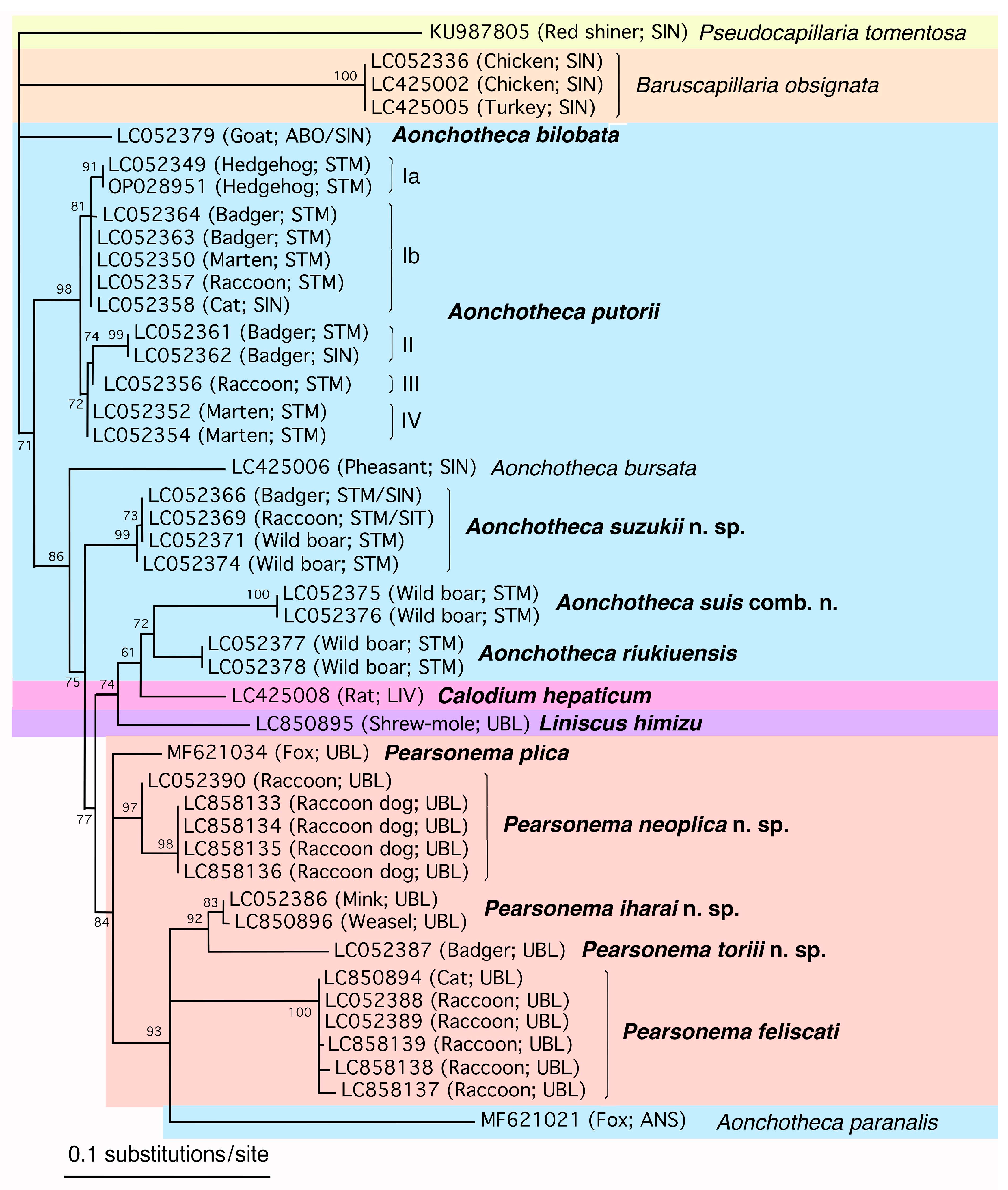 Pathogens 14 00455 g015