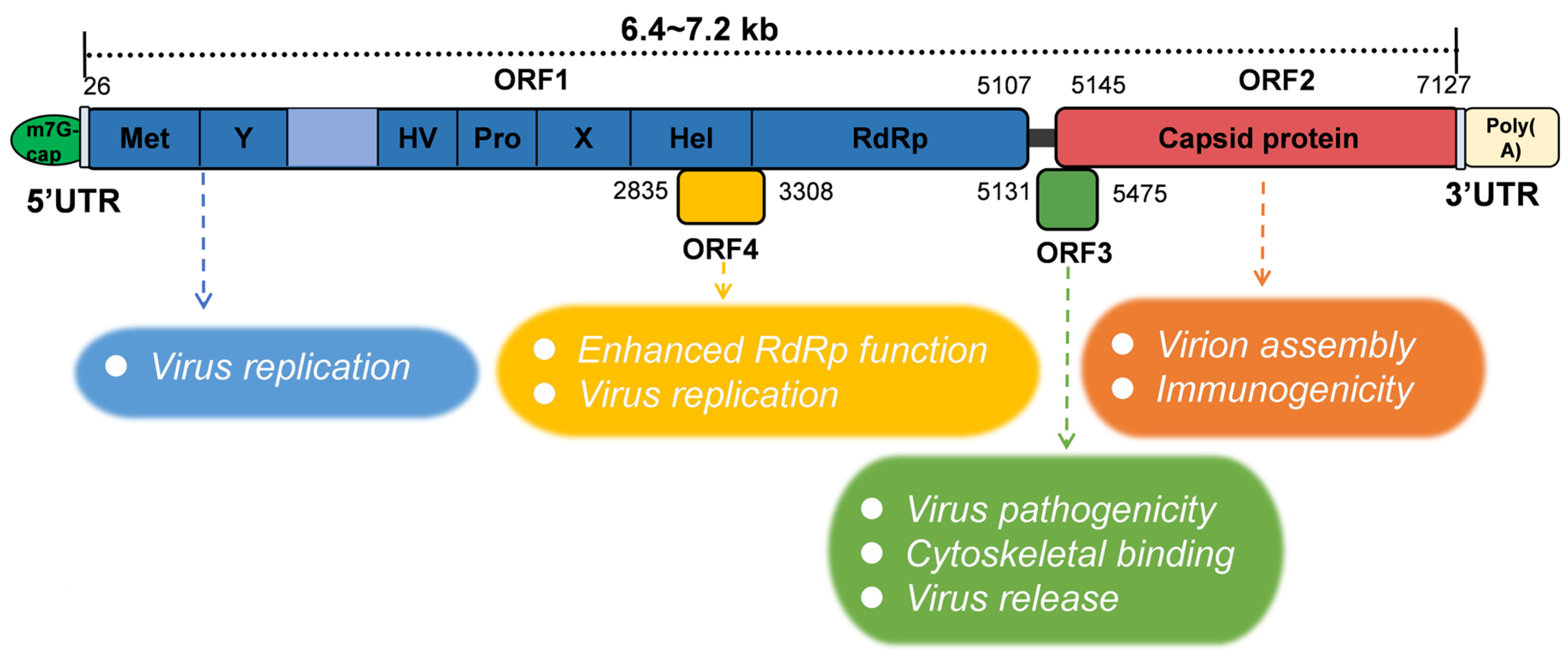 Pathogens 14 00456 g001