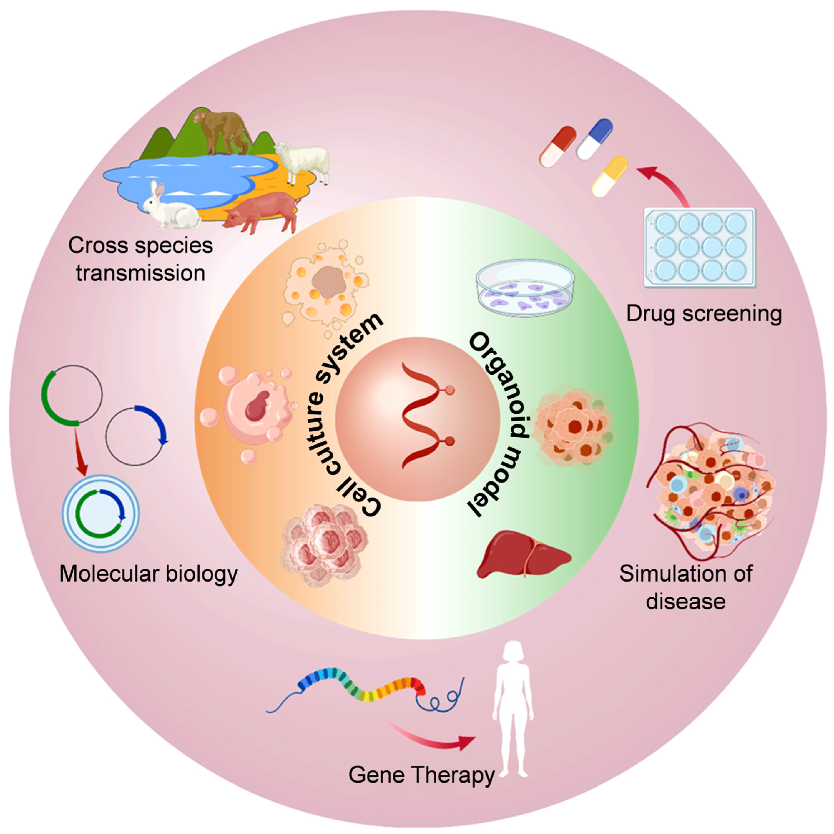 Pathogens 14 00456 g002