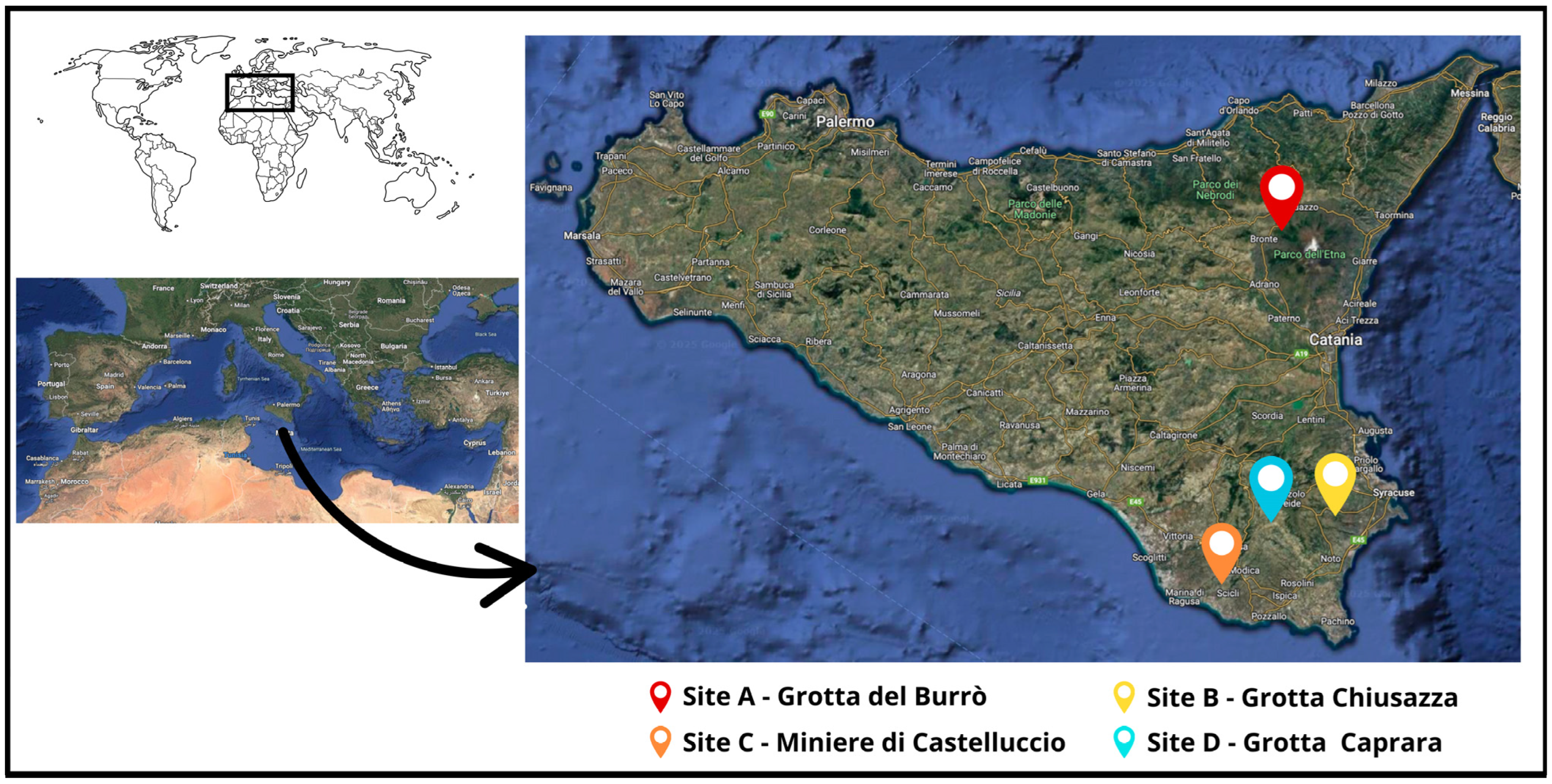 Pathogens 14 00457 g001