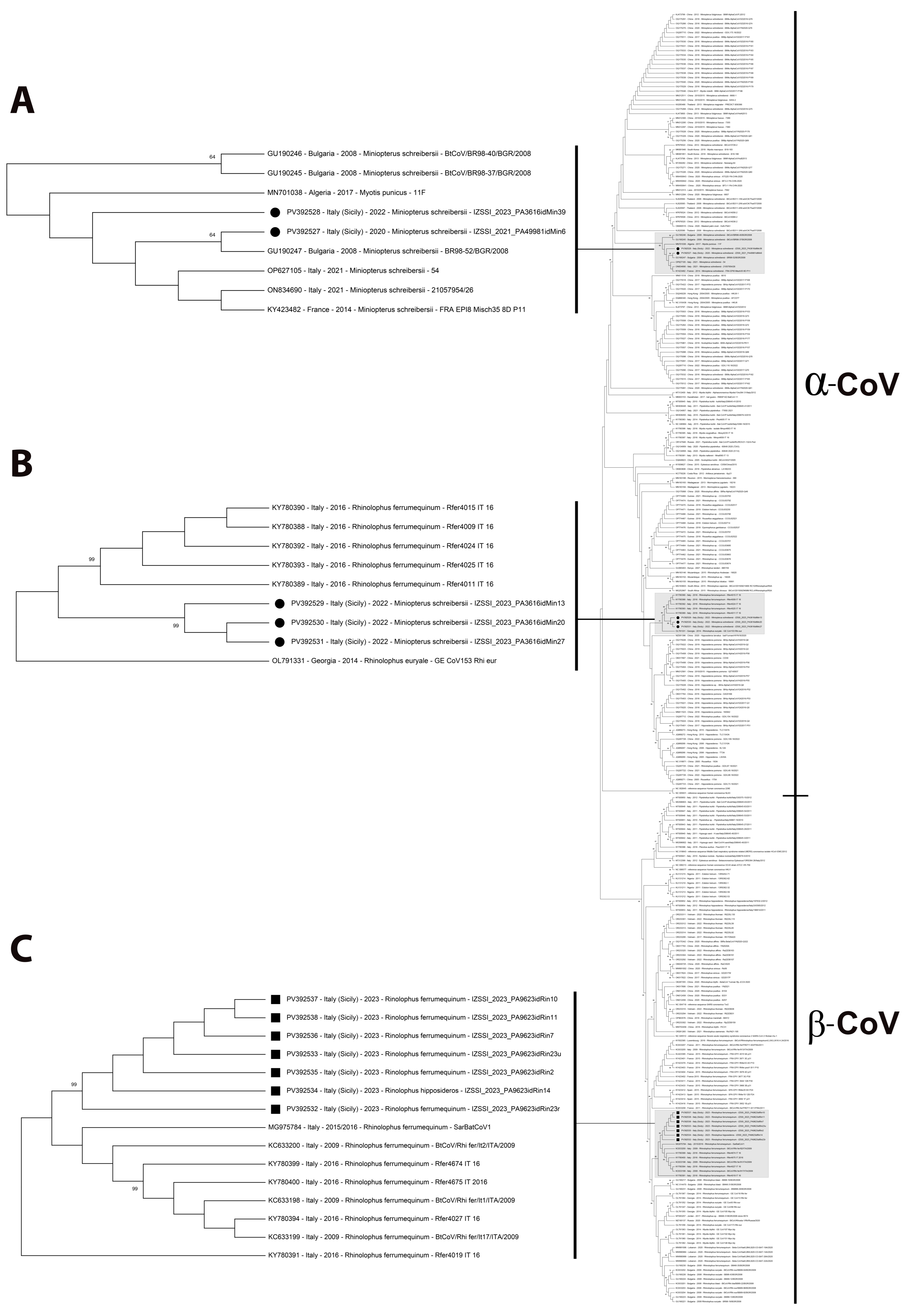 Pathogens 14 00457 g002