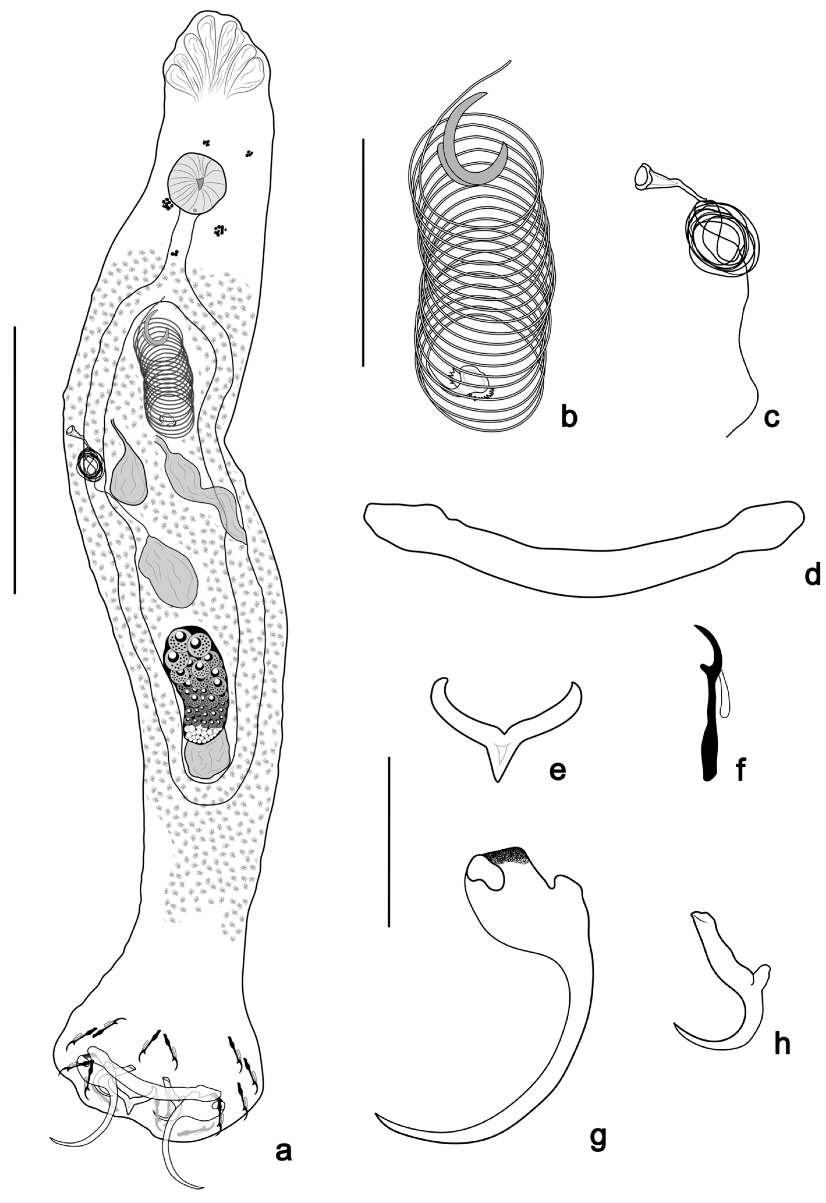 Pathogens 14 00467 g002