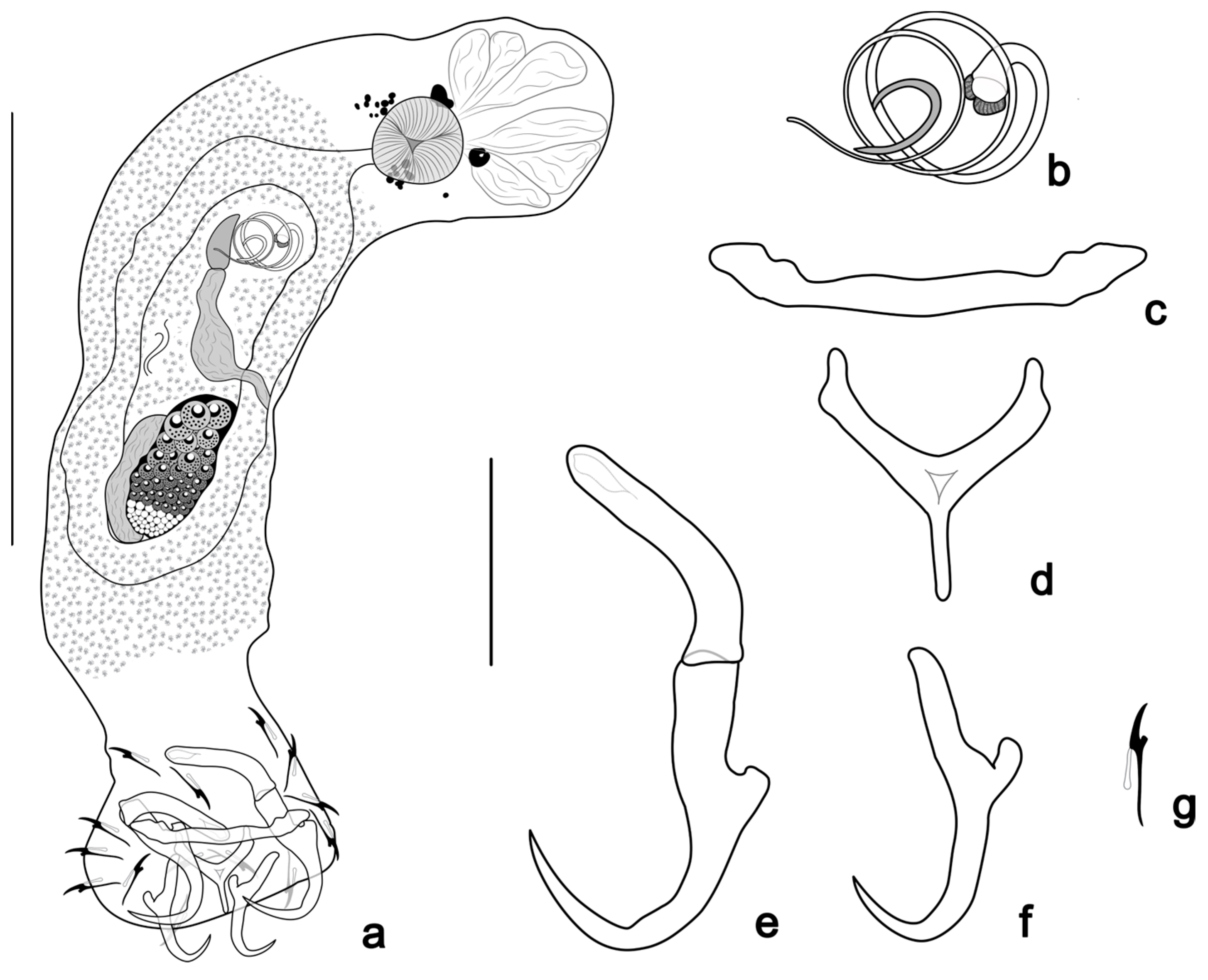 Pathogens 14 00467 g003