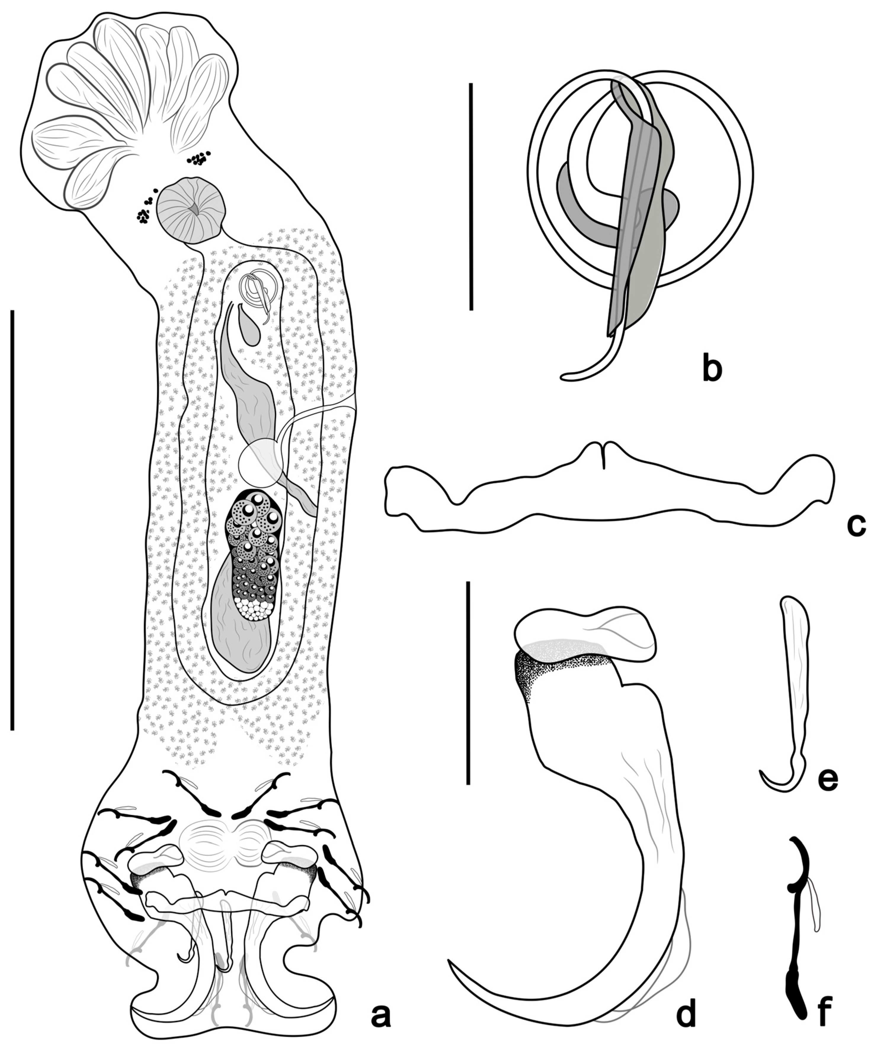 Pathogens 14 00467 g004