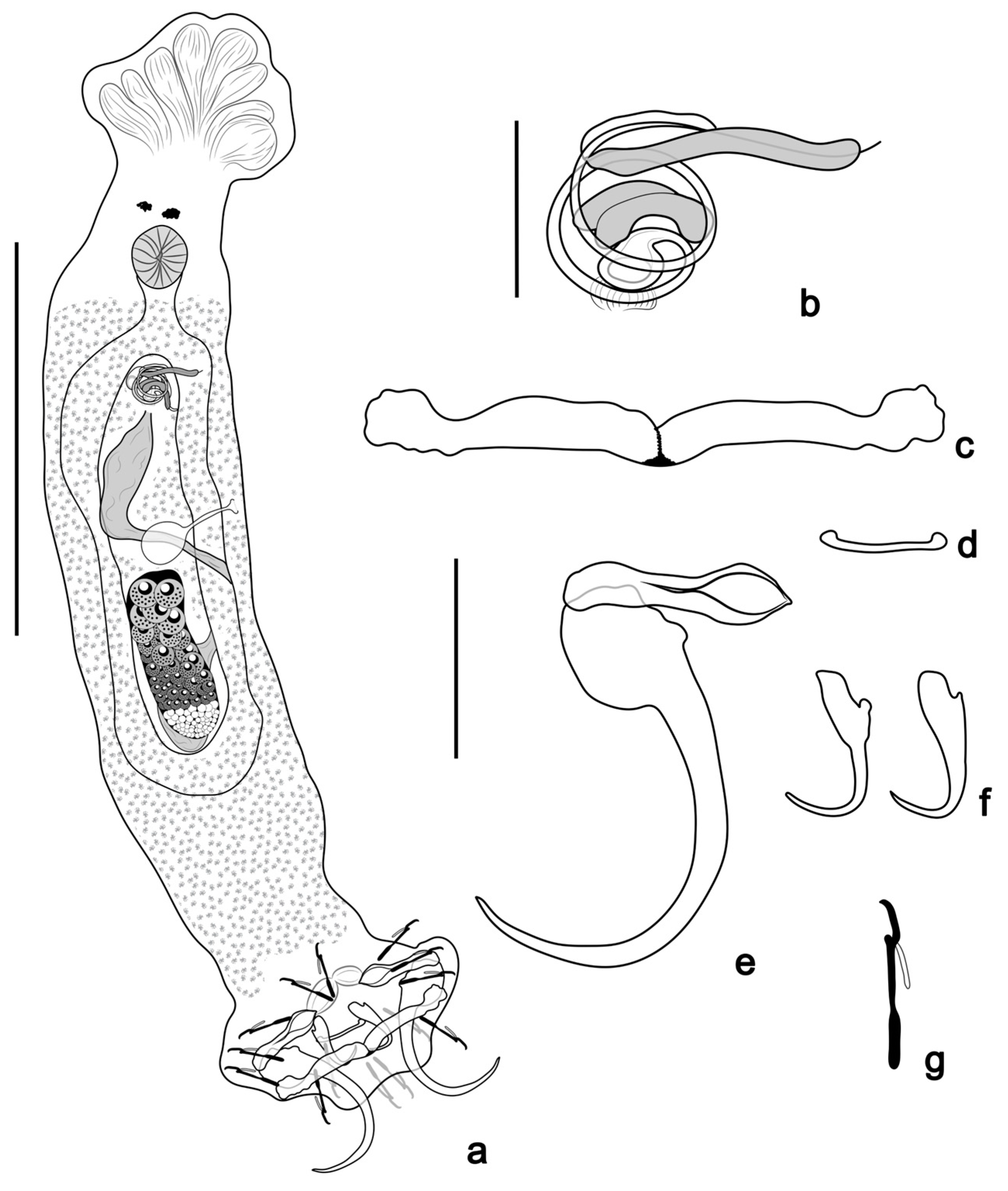 Pathogens 14 00467 g005