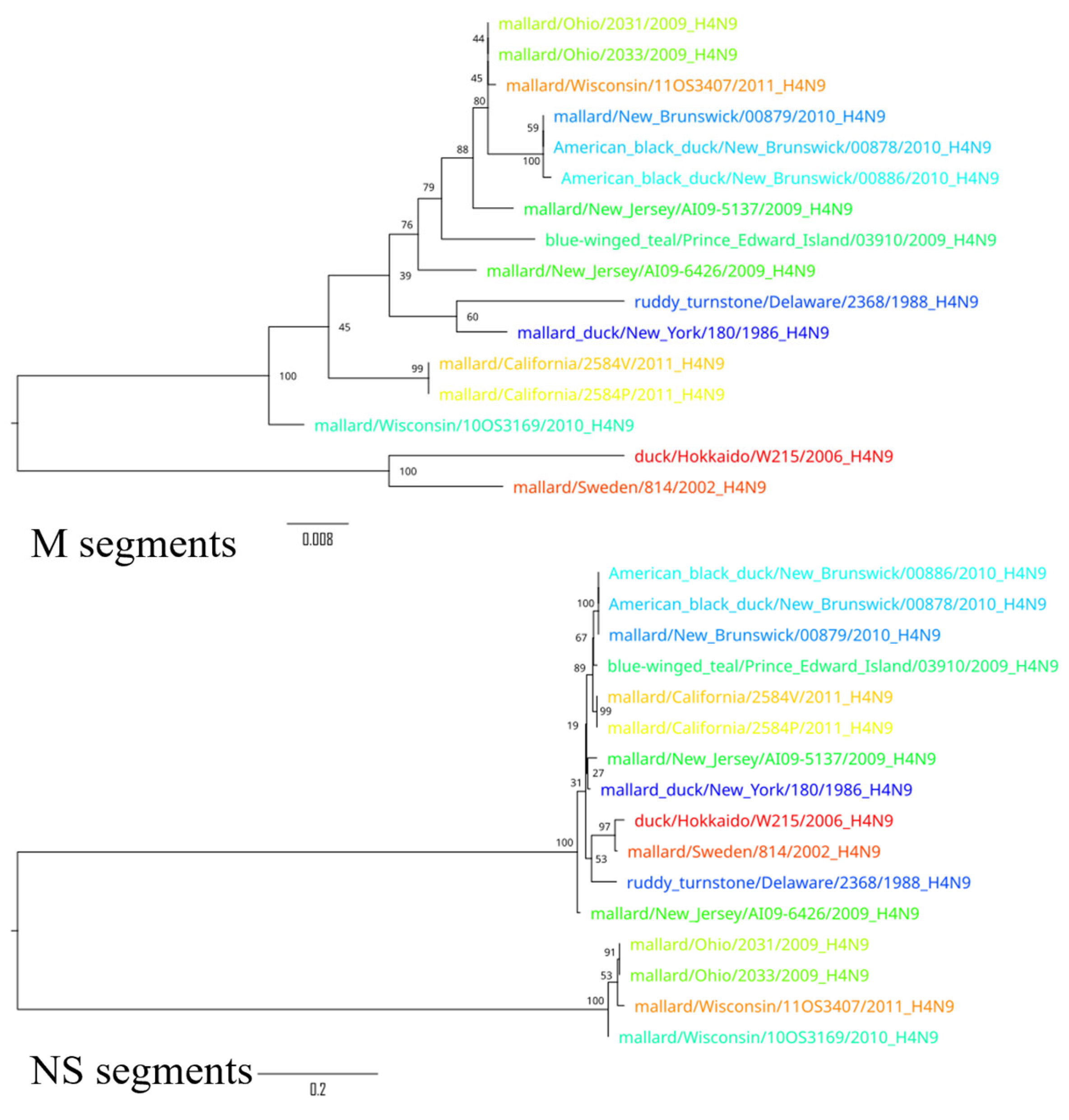 Pathogens 14 00469 g006