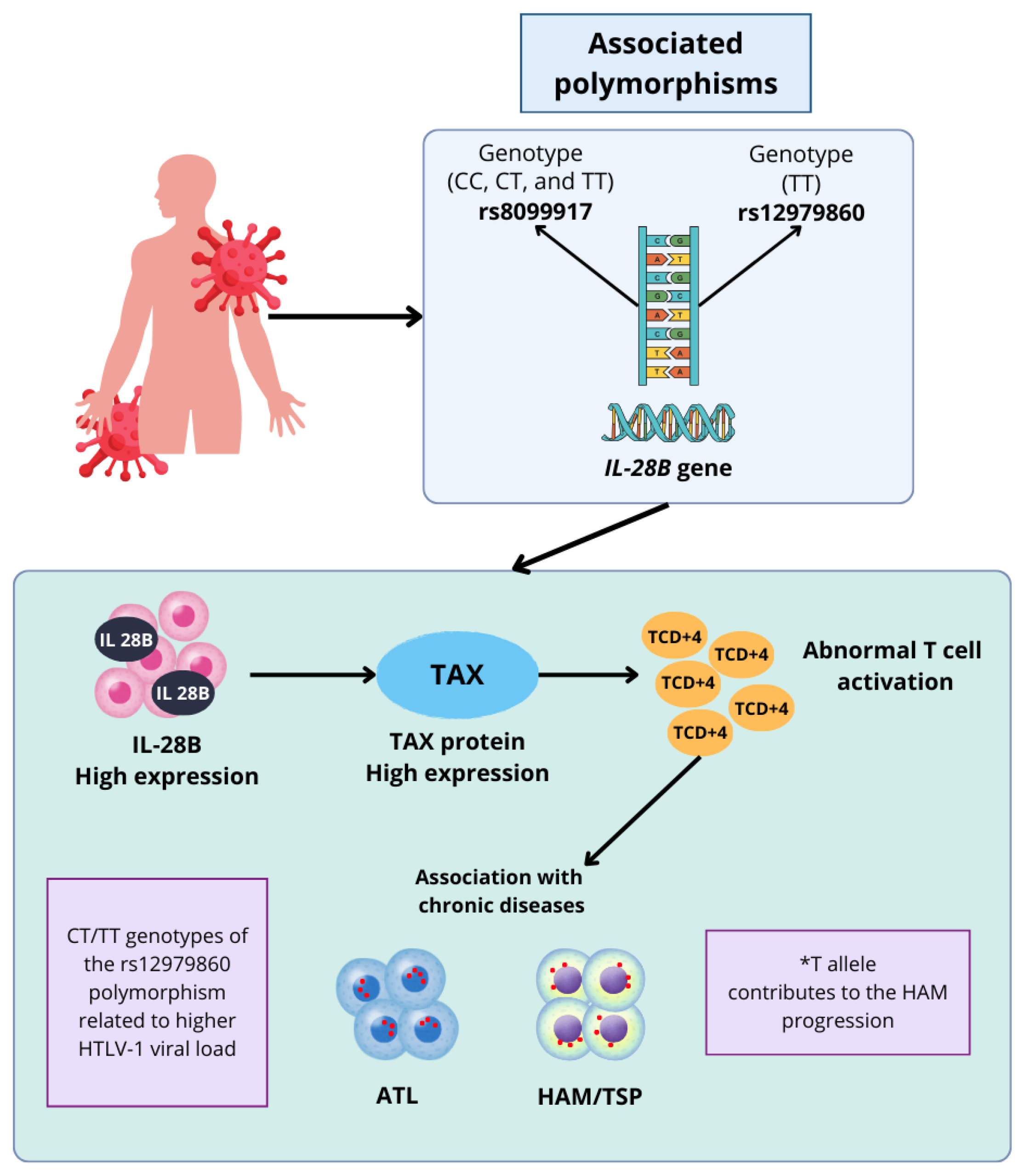 Pathogens 14 00470 g001