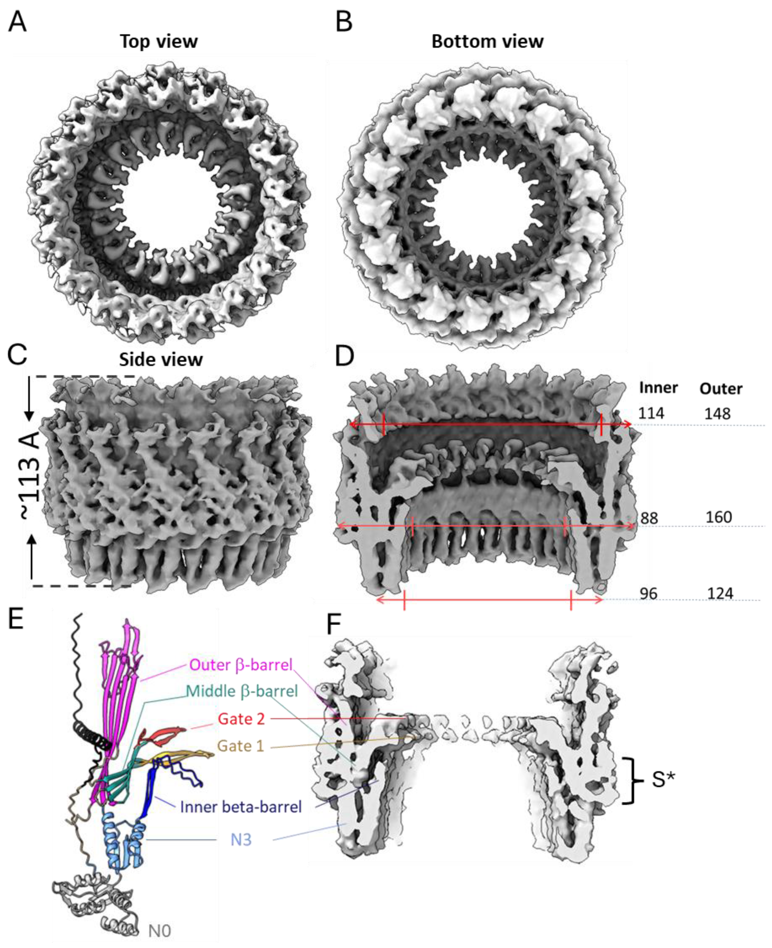 Pathogens 14 00471 g004