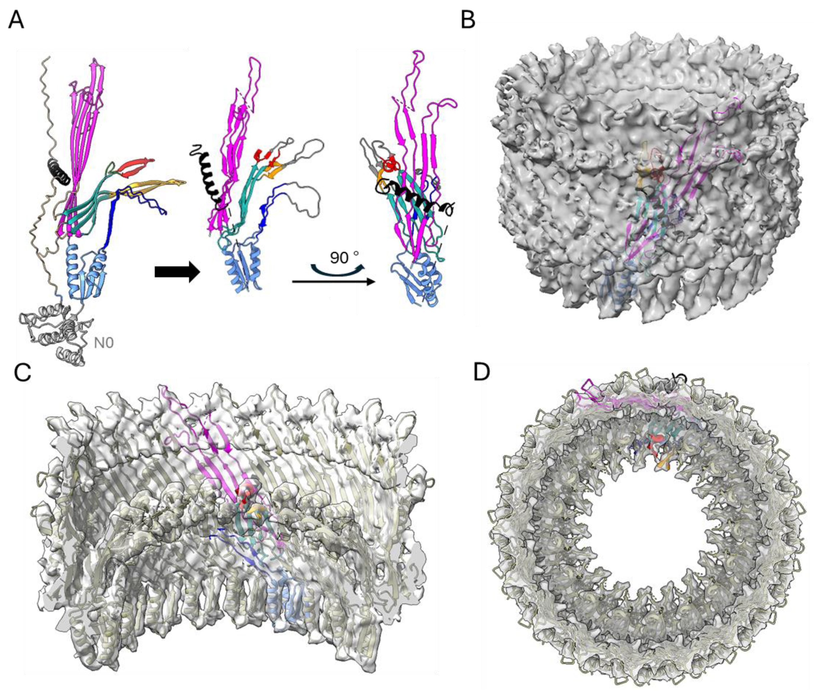 Pathogens 14 00471 g005